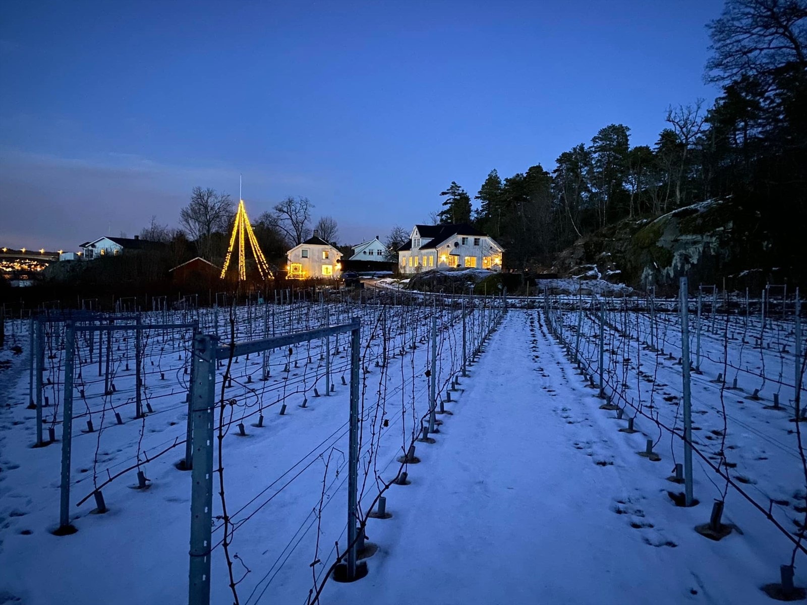 Vinterbilde Søndre Sundene gård. Galleribilde
