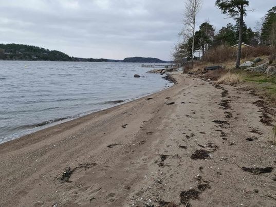 Bilde av del 2 av strandlinjen på vestsiden av eiendom. Galleribilde