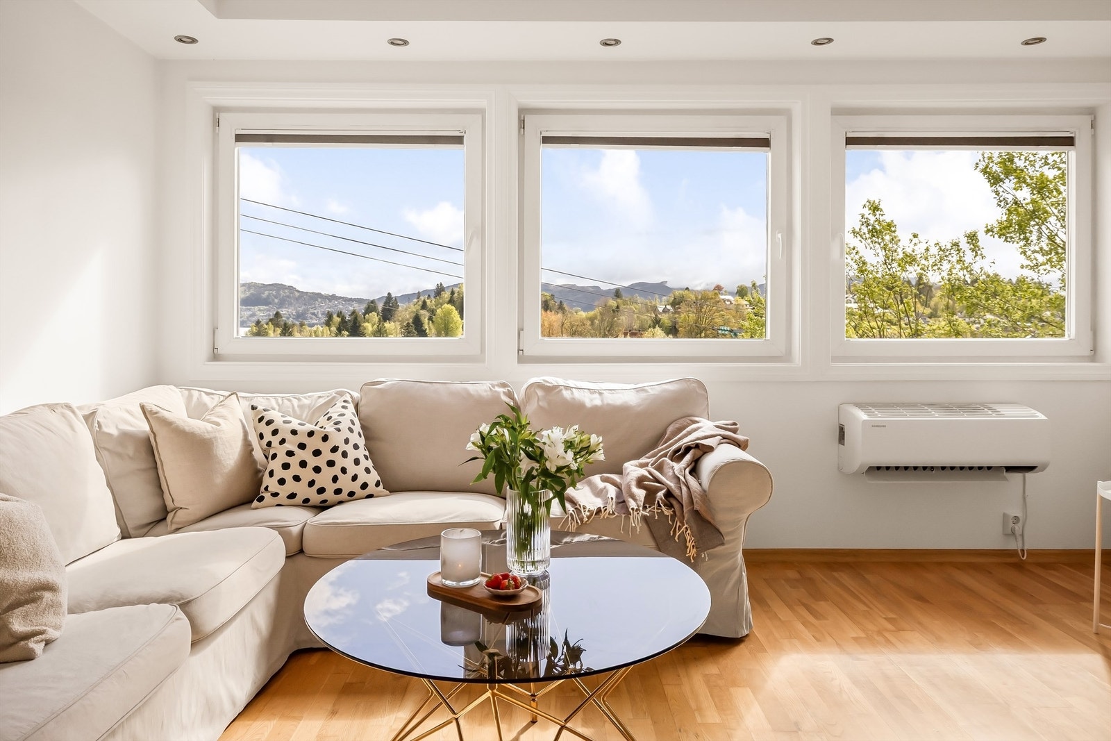 Nyere varmepumpe sikrer god varme. Galleribilde