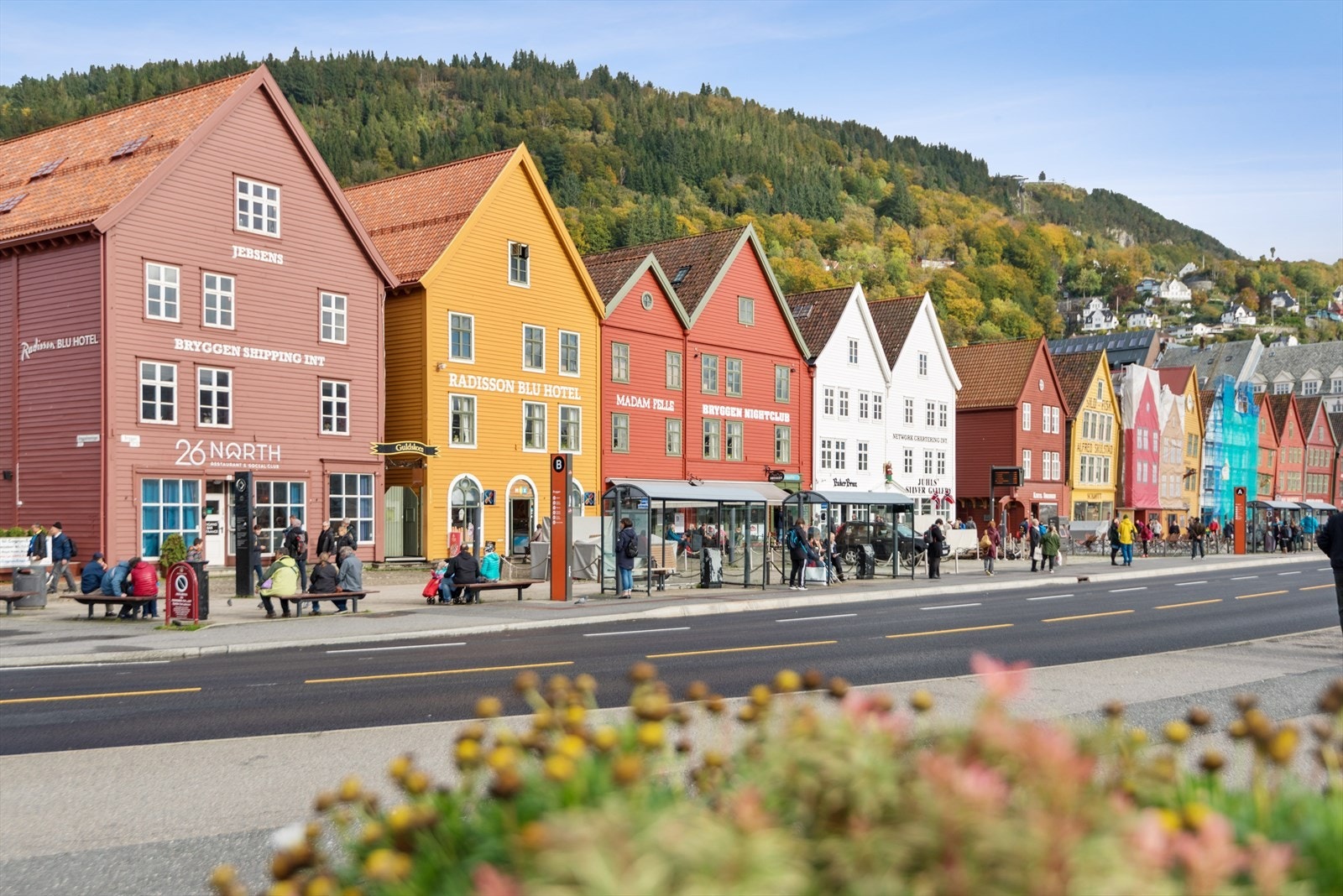 På få minutter når du Bryggen, hvor du kan spasere videre mot Fisketorget og sentrumskjernen, eller i nordgående retning mot Bergenhus Festning og Koengen som er et populært område for konserter, festivaler og rekreasjon. Galleribilde