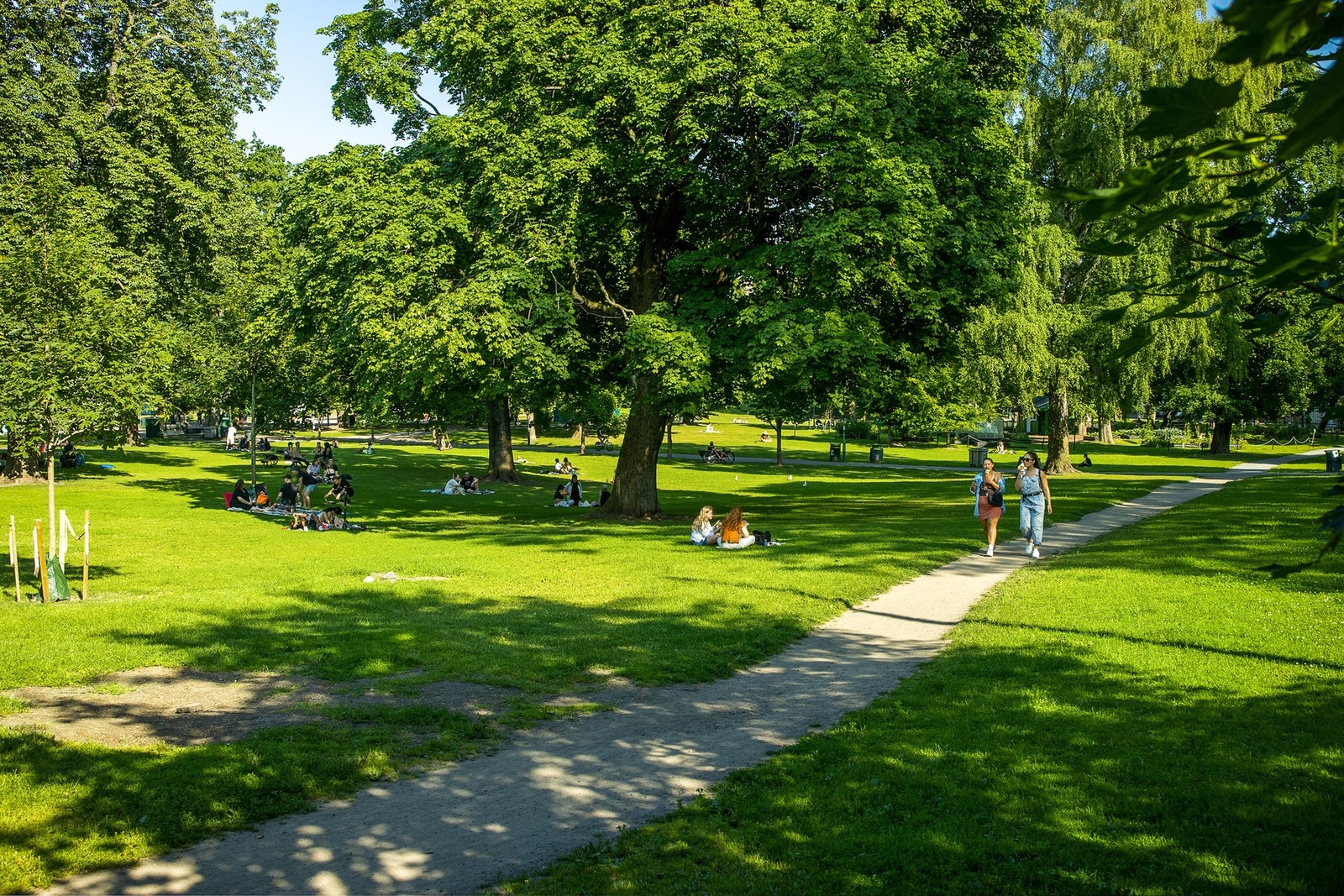 Like ved leiligheten er det gode rekreasjonsmuligheter i både Botanisk hage, Sofienbergparken og Tøyenparken. Galleribilde