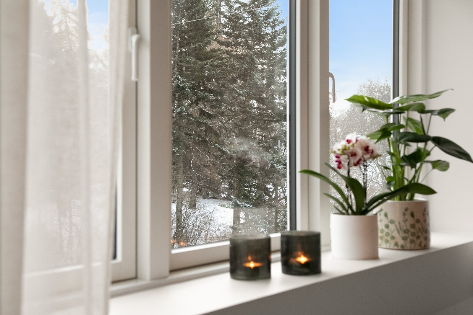 Utsyn mot Botanisk hage, lite innsyn! Galleribilde