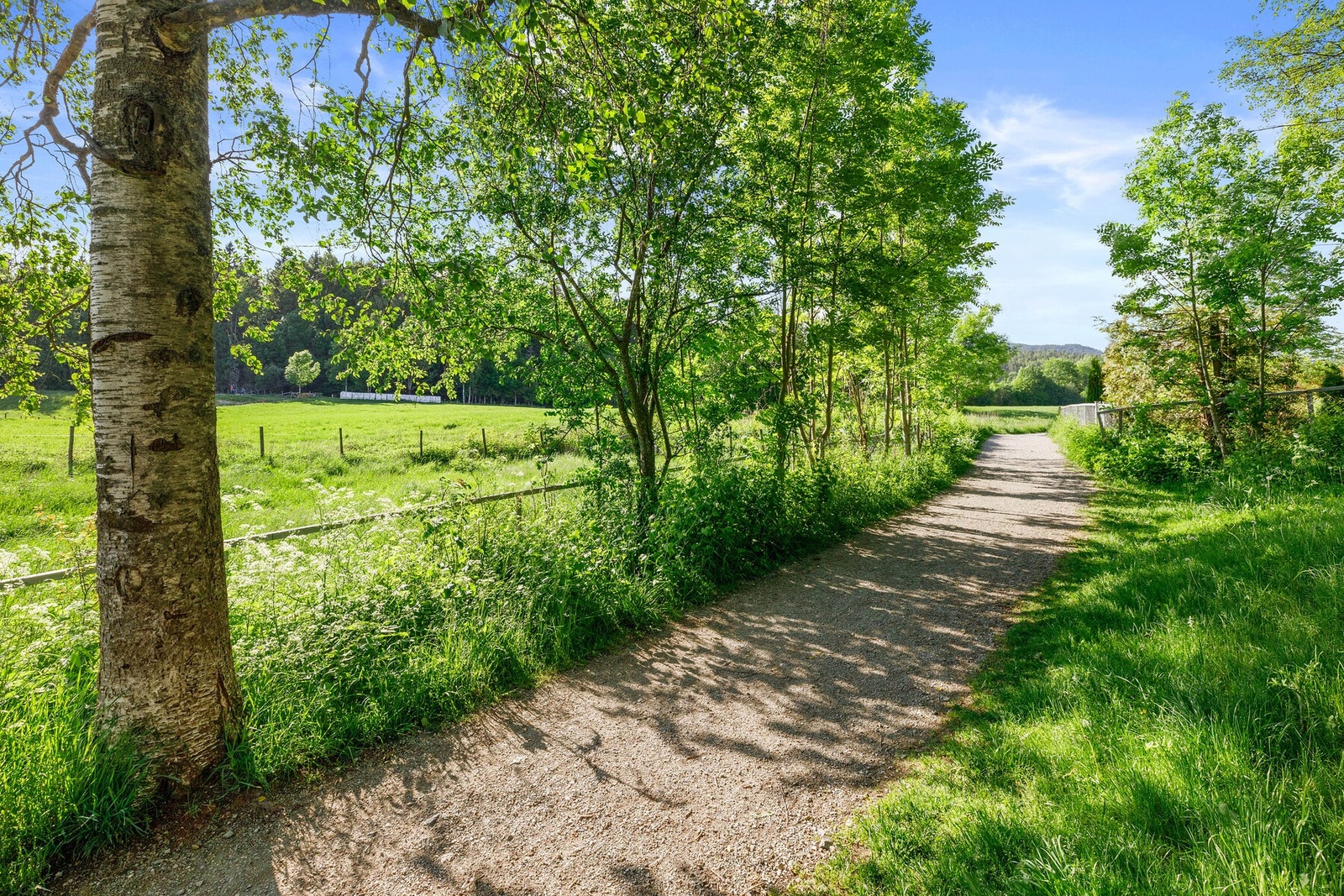 Nærområdet byr på en rekke fritidstilbud som lekeplasser, friområder som Sauejordet med flott turterreng sommer som vinter. Galleribilde