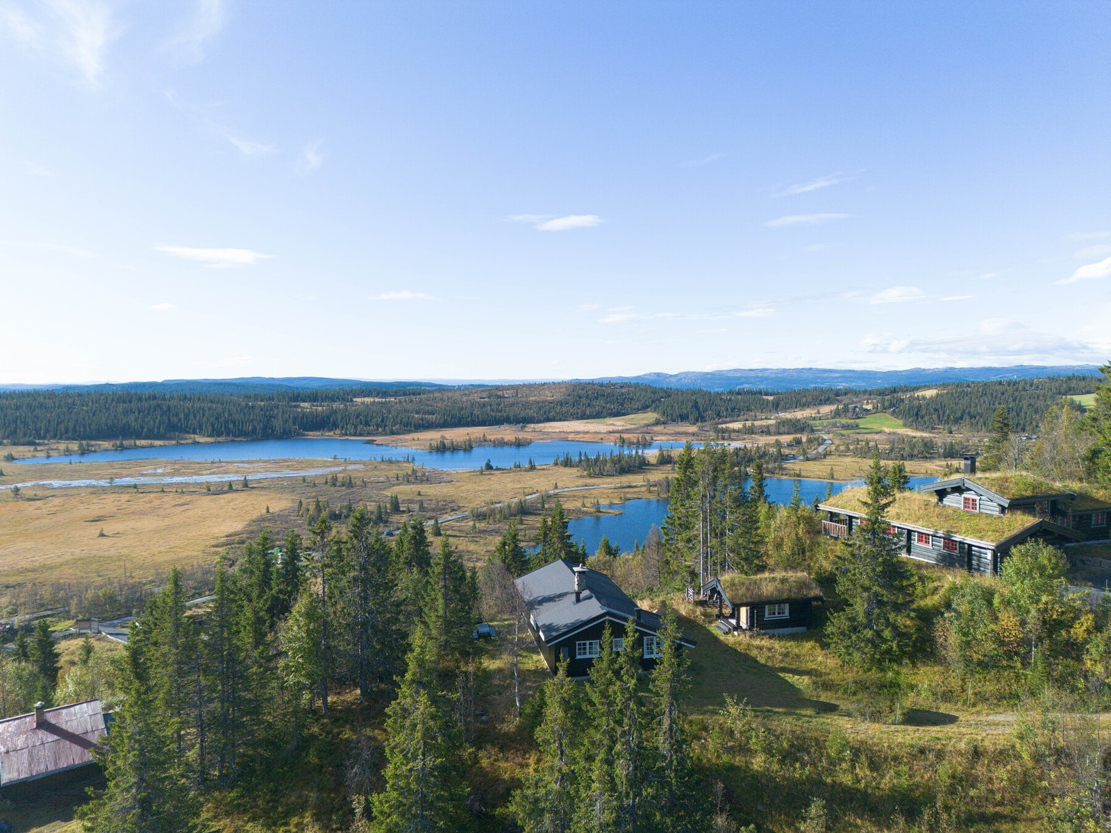 Sommerbilde Galleribilde