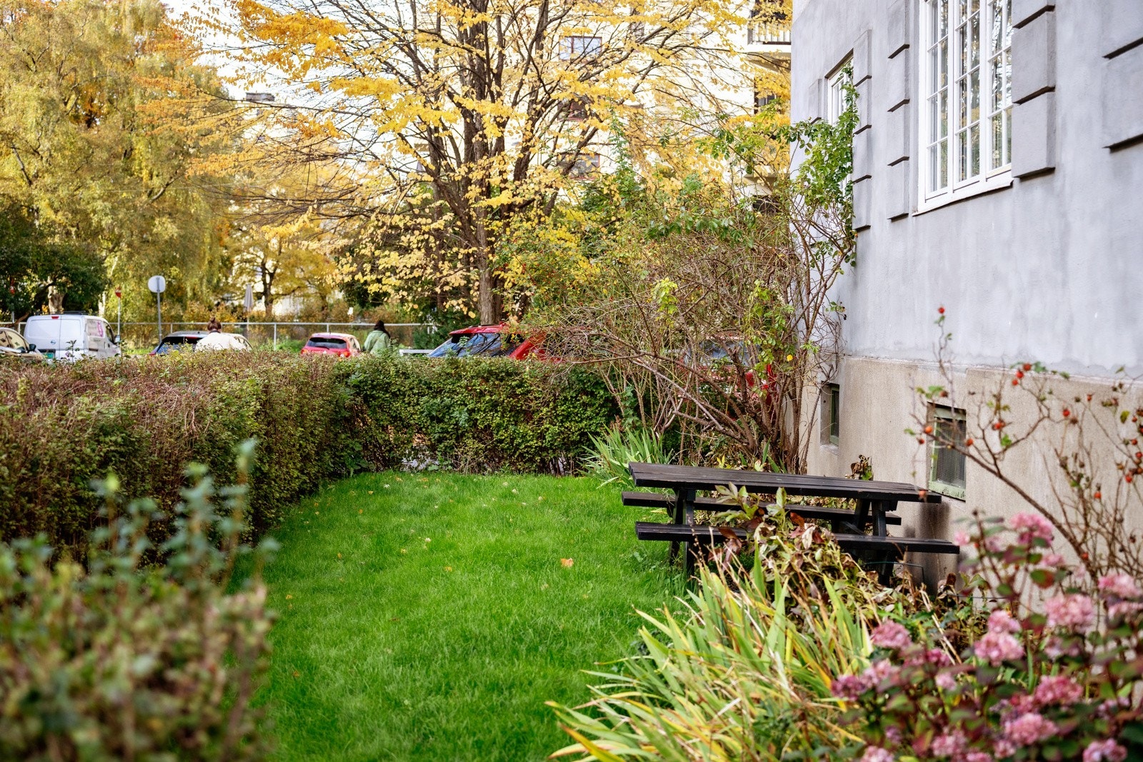 Hyggelige og innbydende uteområder. Galleribilde