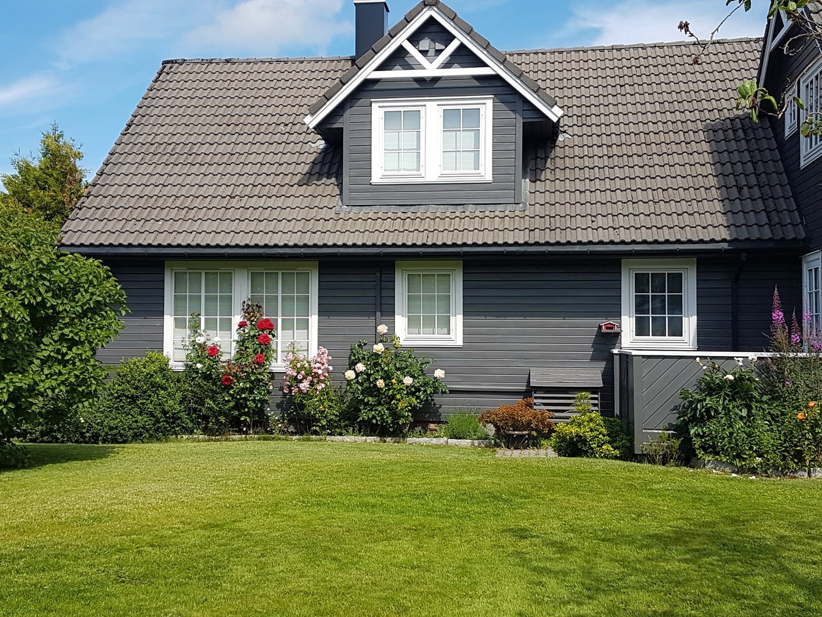 Velkommen til Selhaugvegen 11!, Foto: Photoevent (Thor-Aage Bolseth Lillestøl) Galleribilde