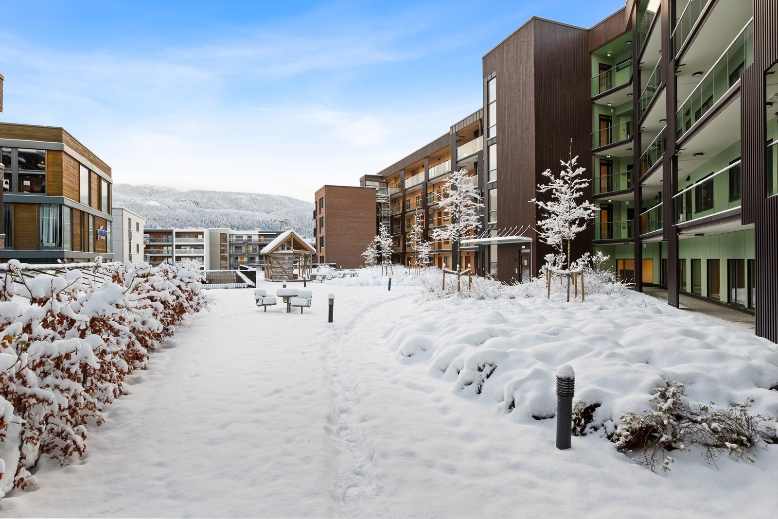 Bilde fra takhagen om vinteren Galleribilde