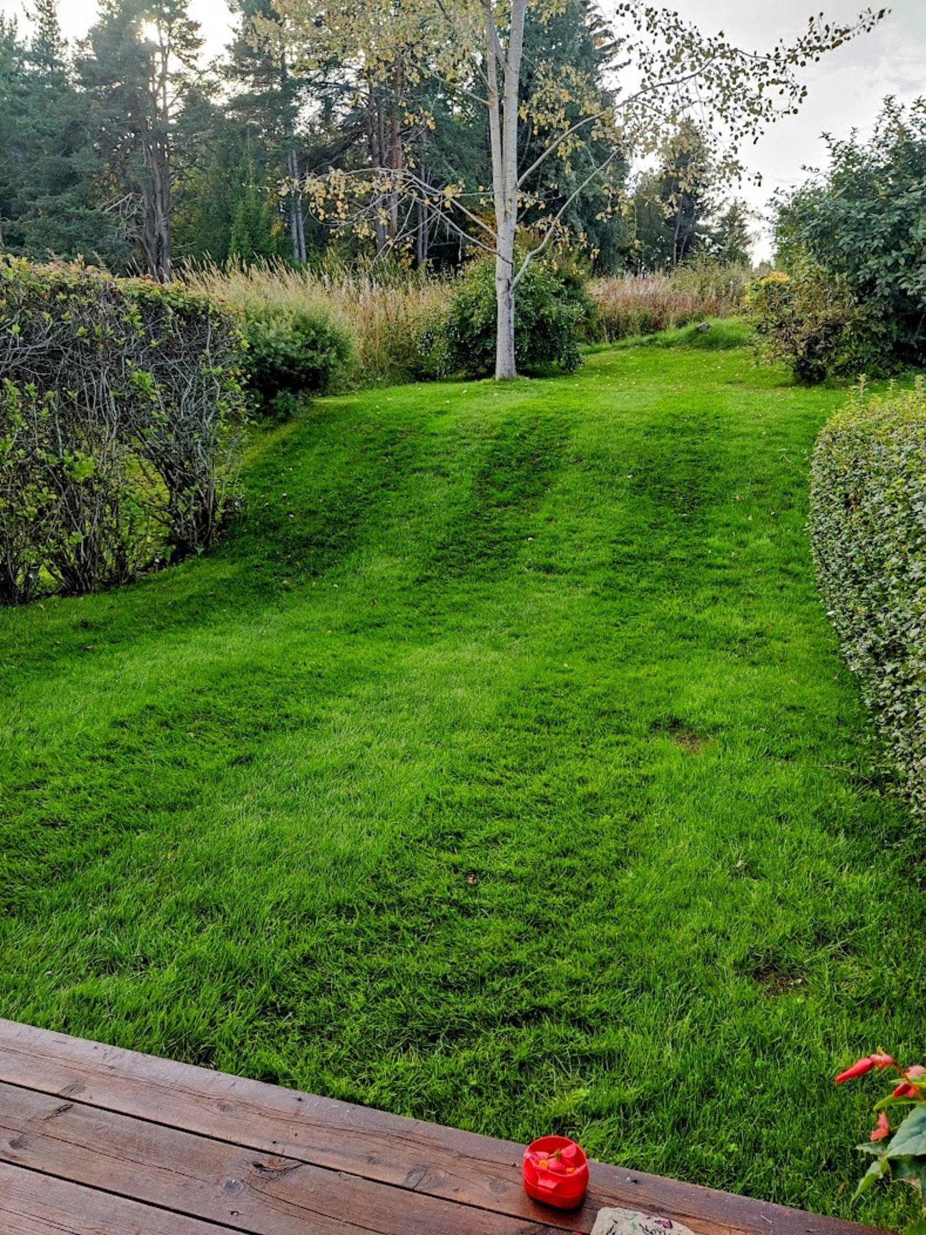 Terrassen er vestvendt og har gode solforhold gjennom store deler av dagen Galleribilde