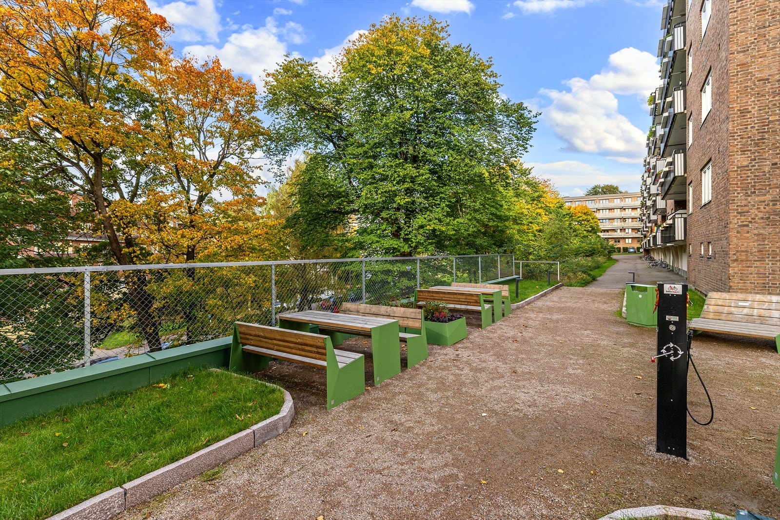 Schouterrassen vant nylig førsteplass i Årets Spire for sin vellykkede jobb med å skape et grønt, inkluderende og levende nabolag Galleribilde
