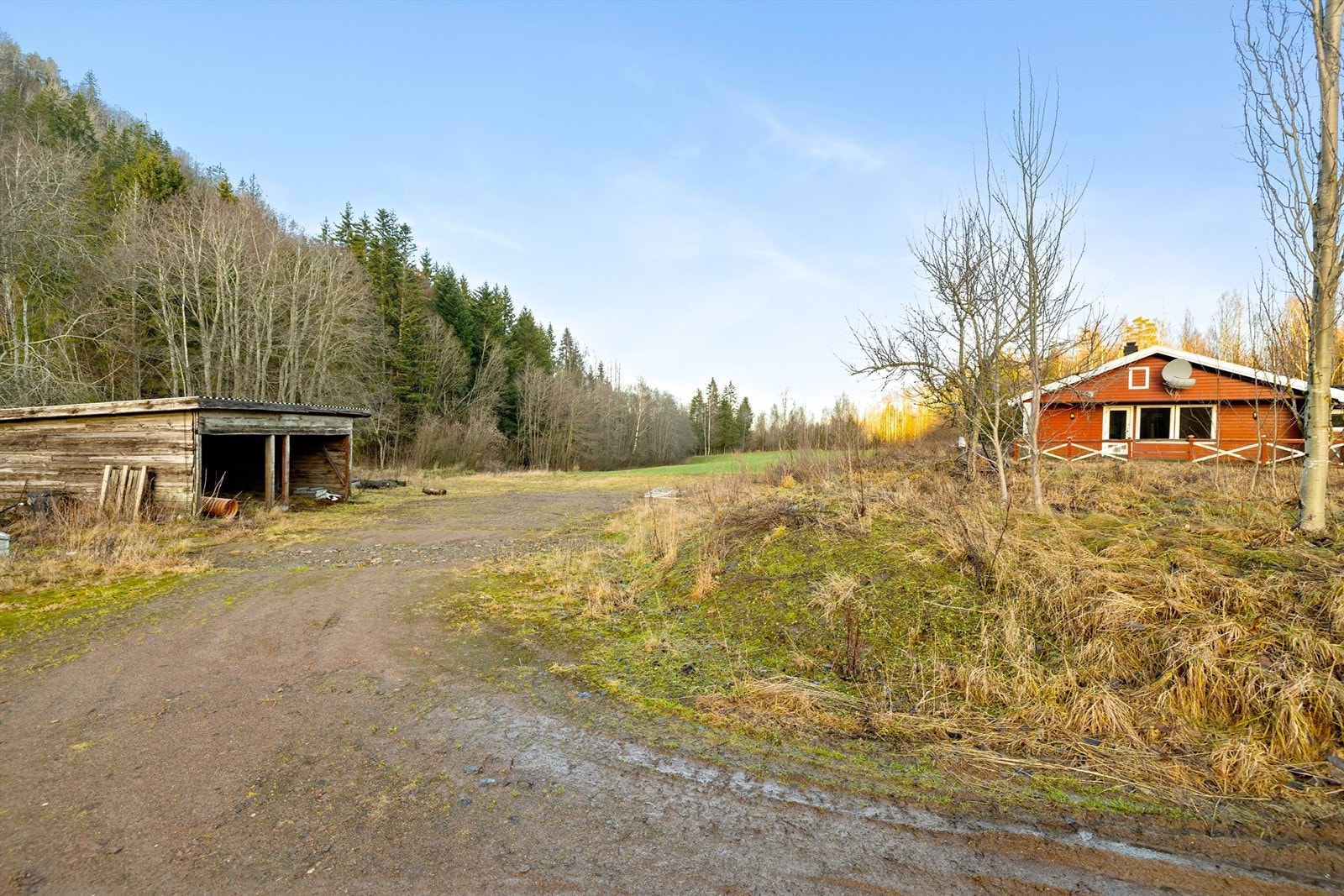 Her er det mye potensiale for hagen og uteområdet. Galleribilde