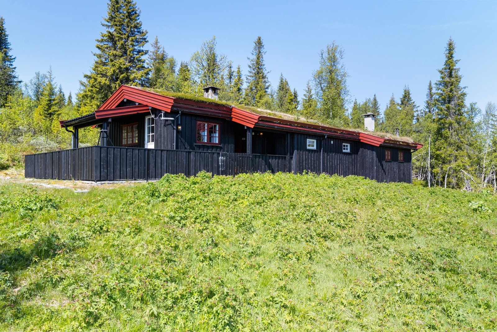 Skiløypene går like bortenfor hytta. Spåtind som er høyeste topp, ligger på 1414 moh., men det er også flere andre fine toppturer i Synnfjellet, som Svartkampen og Skjervungsfjellet Galleribilde