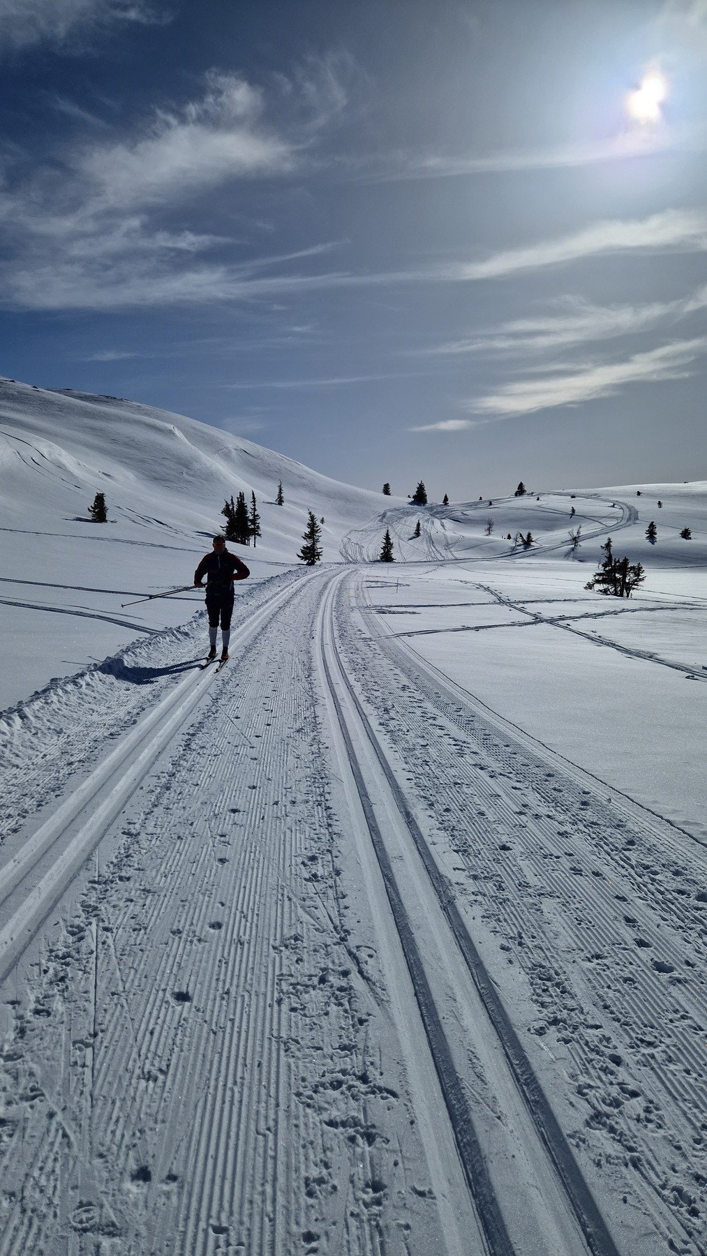 Selgers foto. Galleribilde