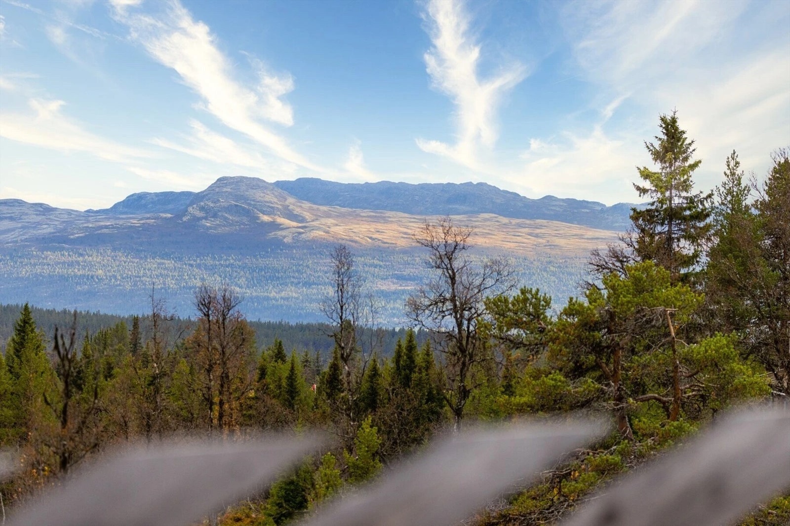 Flott utsikt mot Tunhovdalpene! Galleribilde