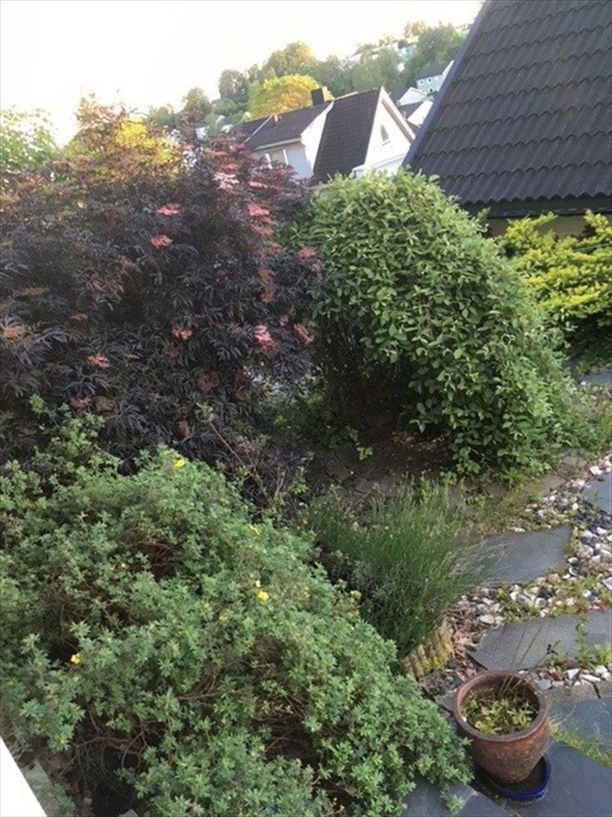 Privat bilde Galleribilde