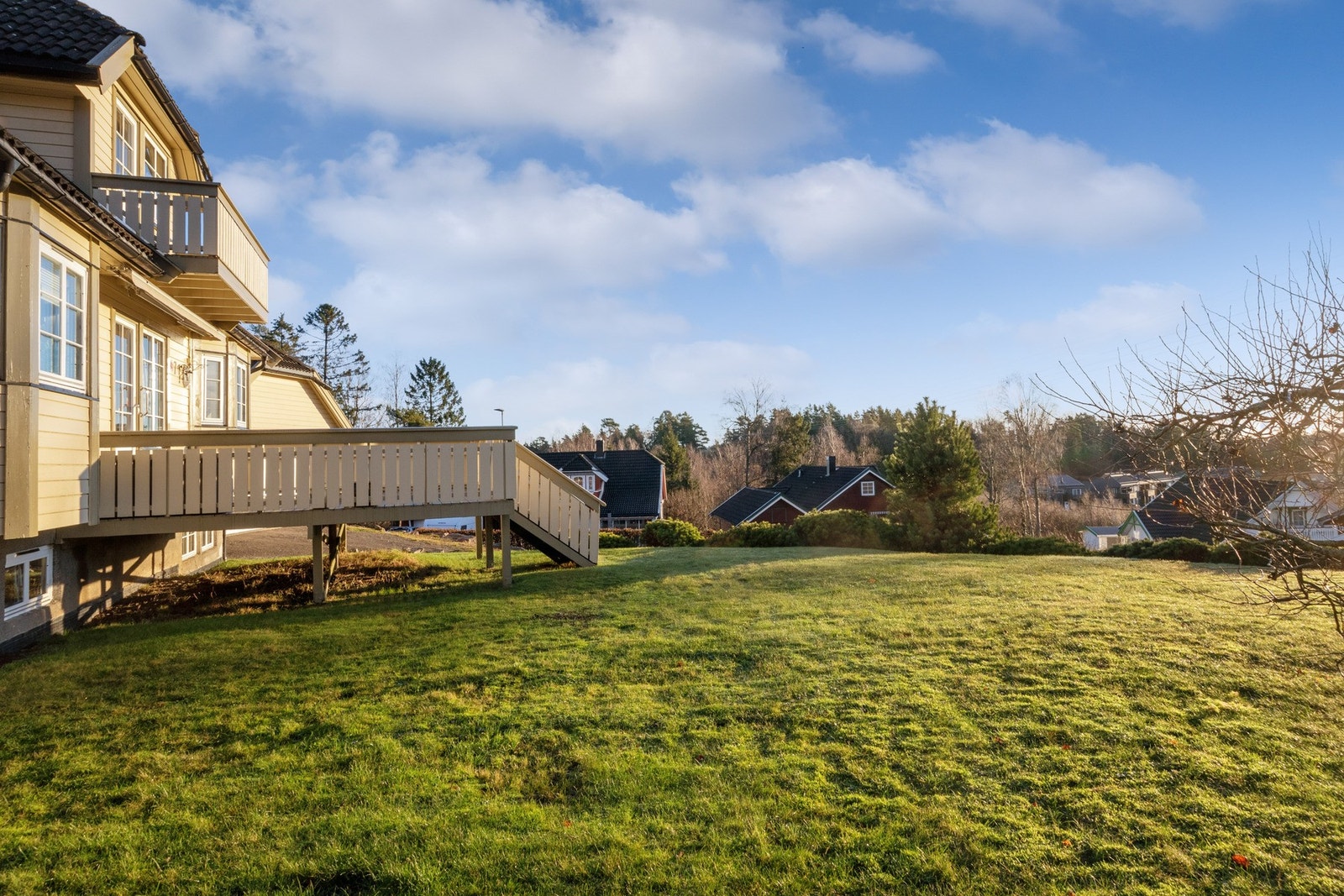 Stor hagetomt. Galleribilde