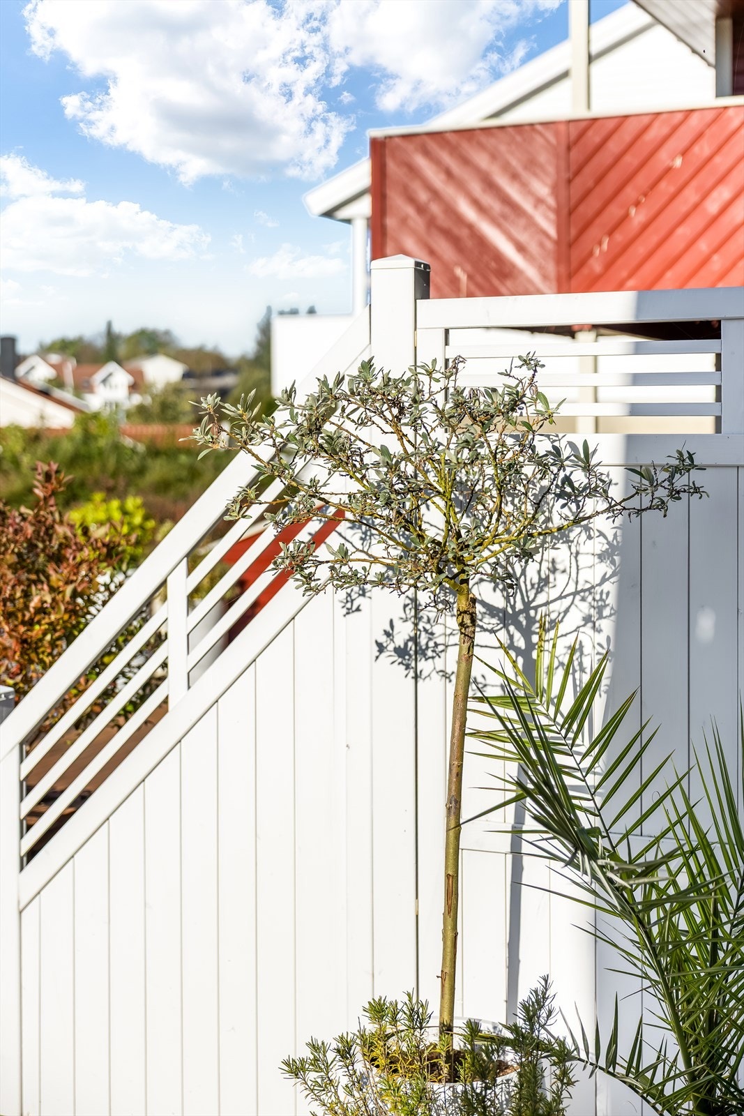 Terrasse Galleribilde