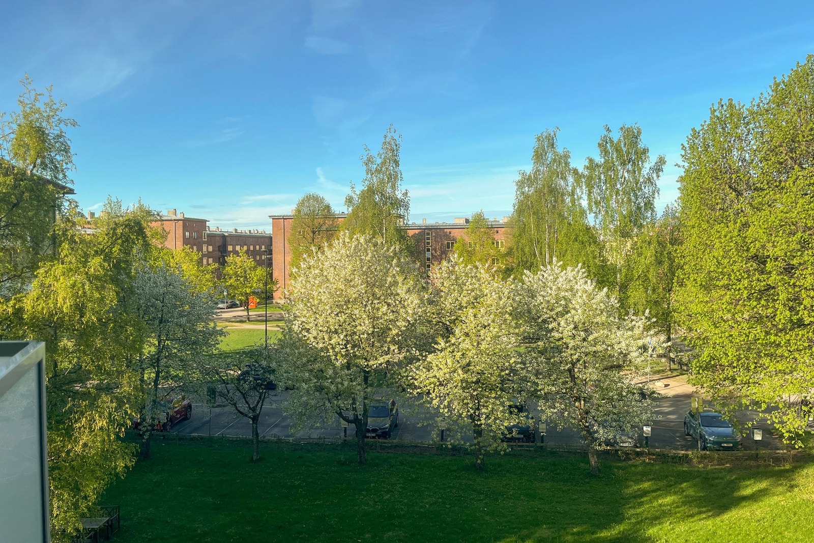 Balkongen byr på en åpen utsikt mot store, grønne trær som skaper et vakkert og variert uttrykk gjennom årstidene. Galleribilde