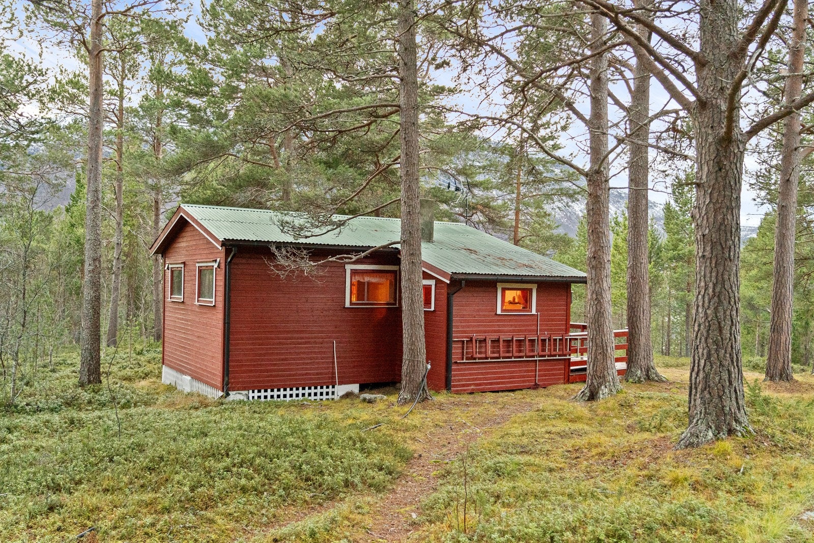 Koselig og innholdsrik liten hytte i skogen. Galleribilde