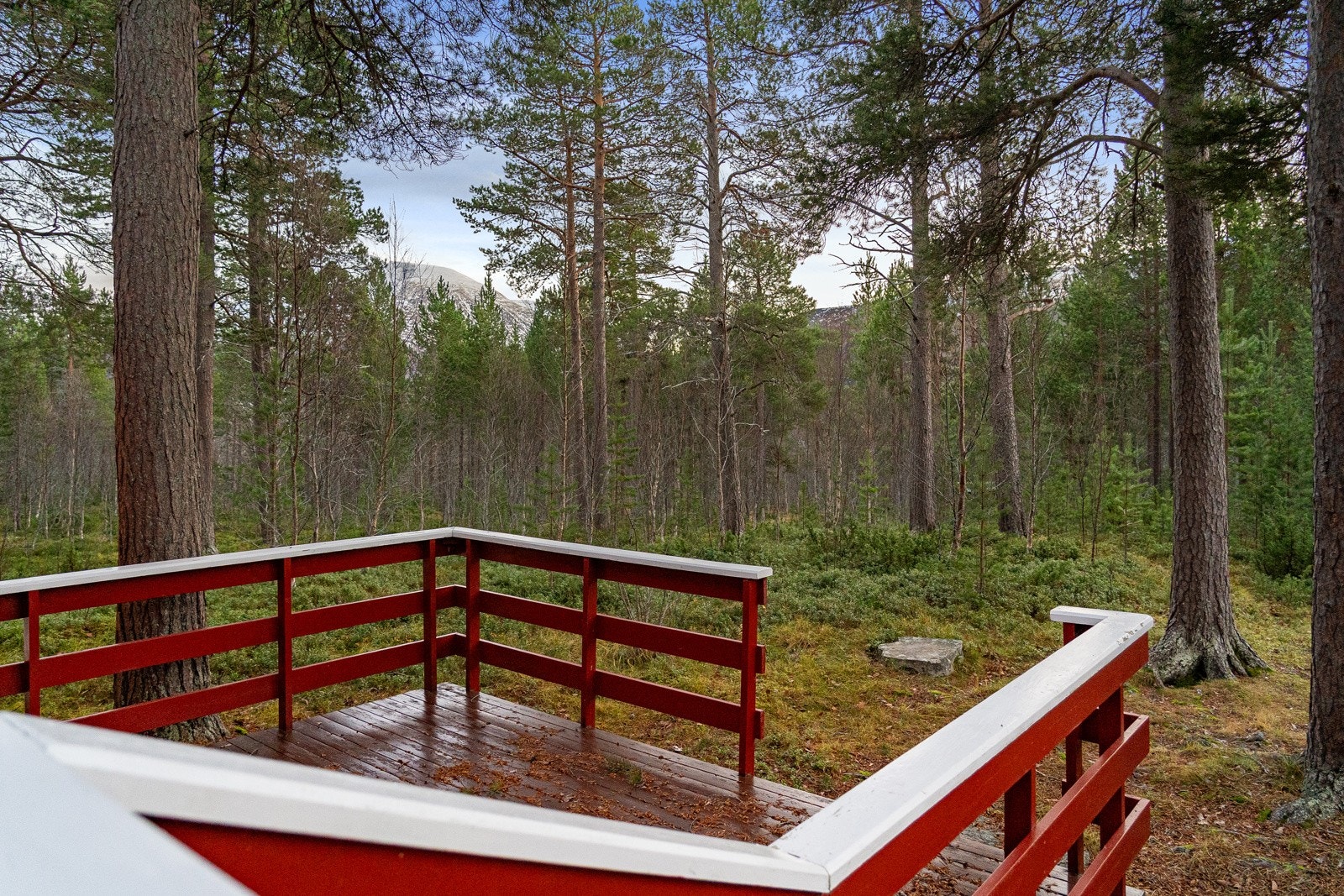 Her er det kort vei til både fjell og hav, og det er fantastiske friluftsmuligheter. Galleribilde