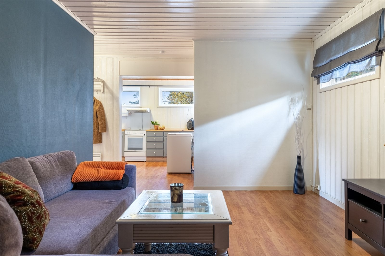 Stue/kjøkken i underetasjen Galleribilde