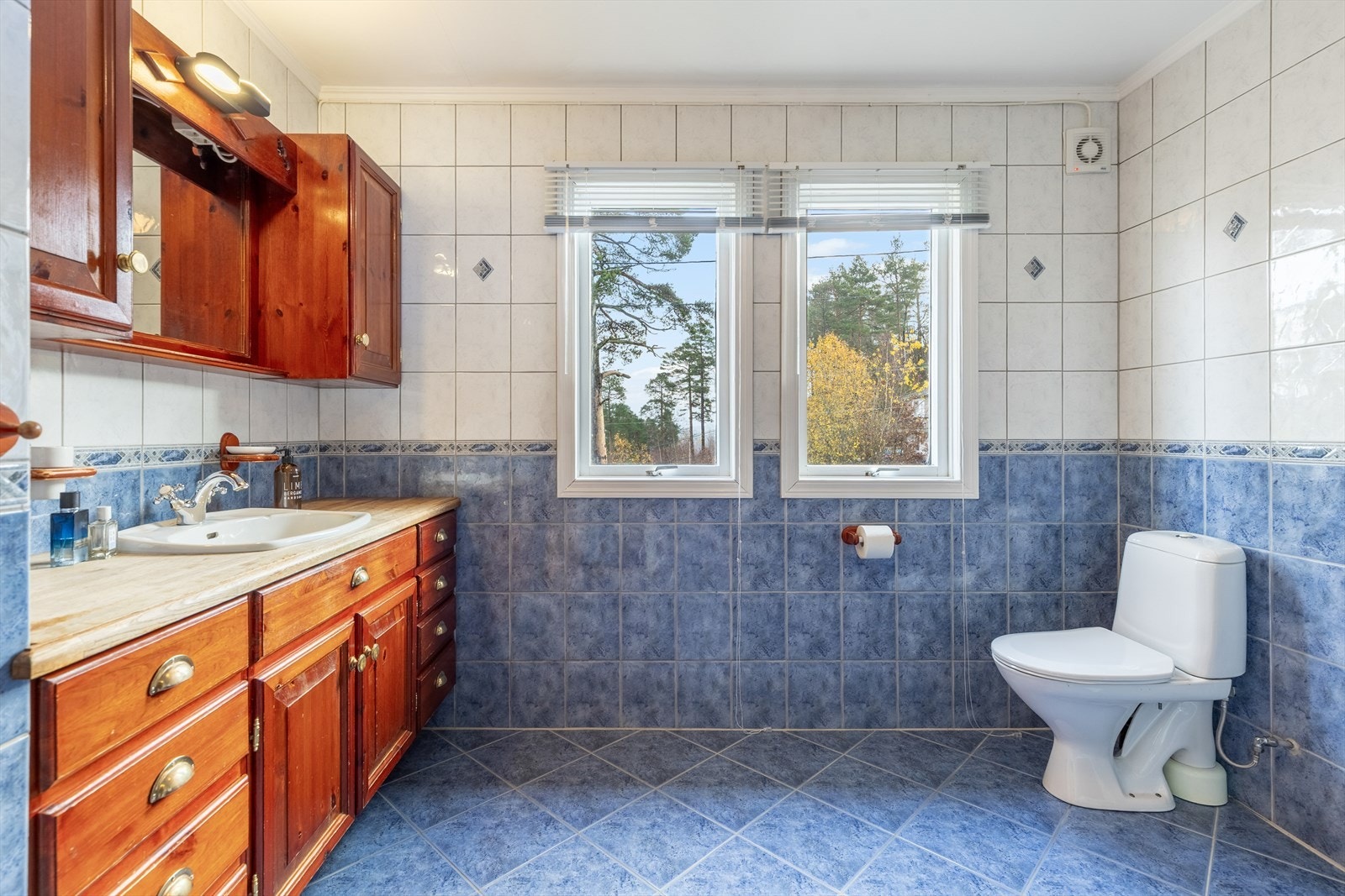 Bad med toalett, vask og dusj Galleribilde