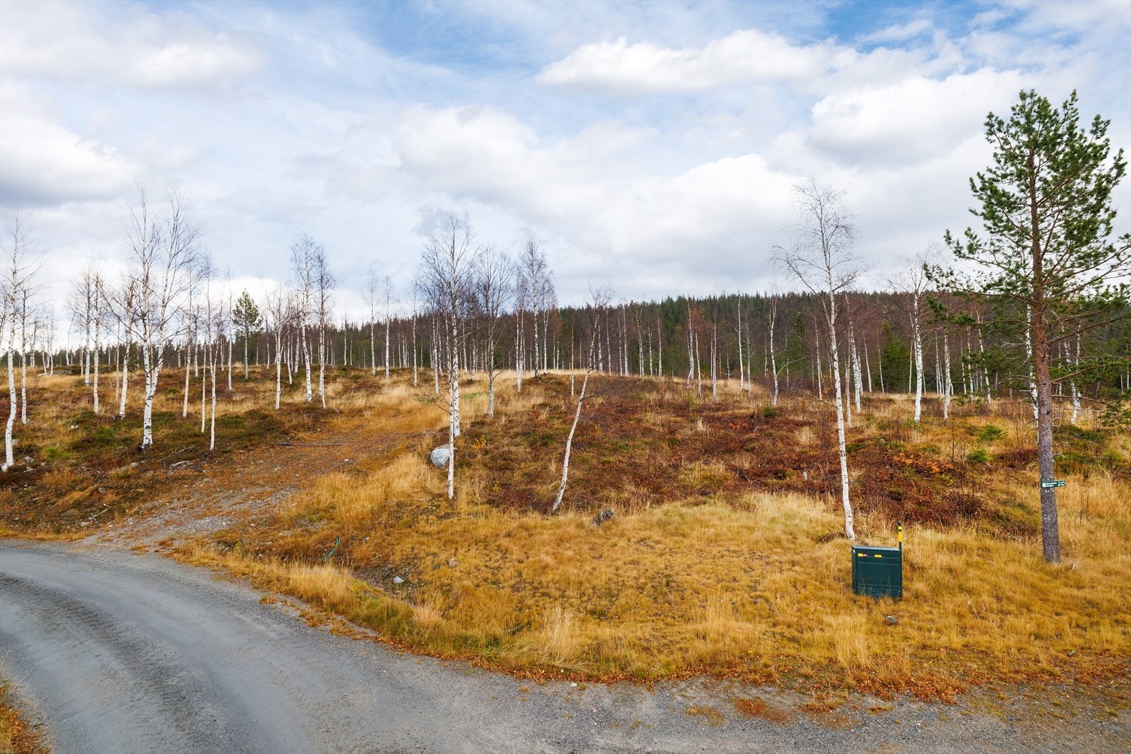 Eiendommen har adkomst via etablert veinett i hyttefeltet. Galleribilde