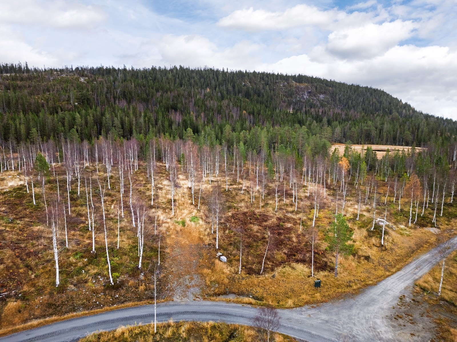 Oversikt over tomten og adkomstveien. Galleribilde