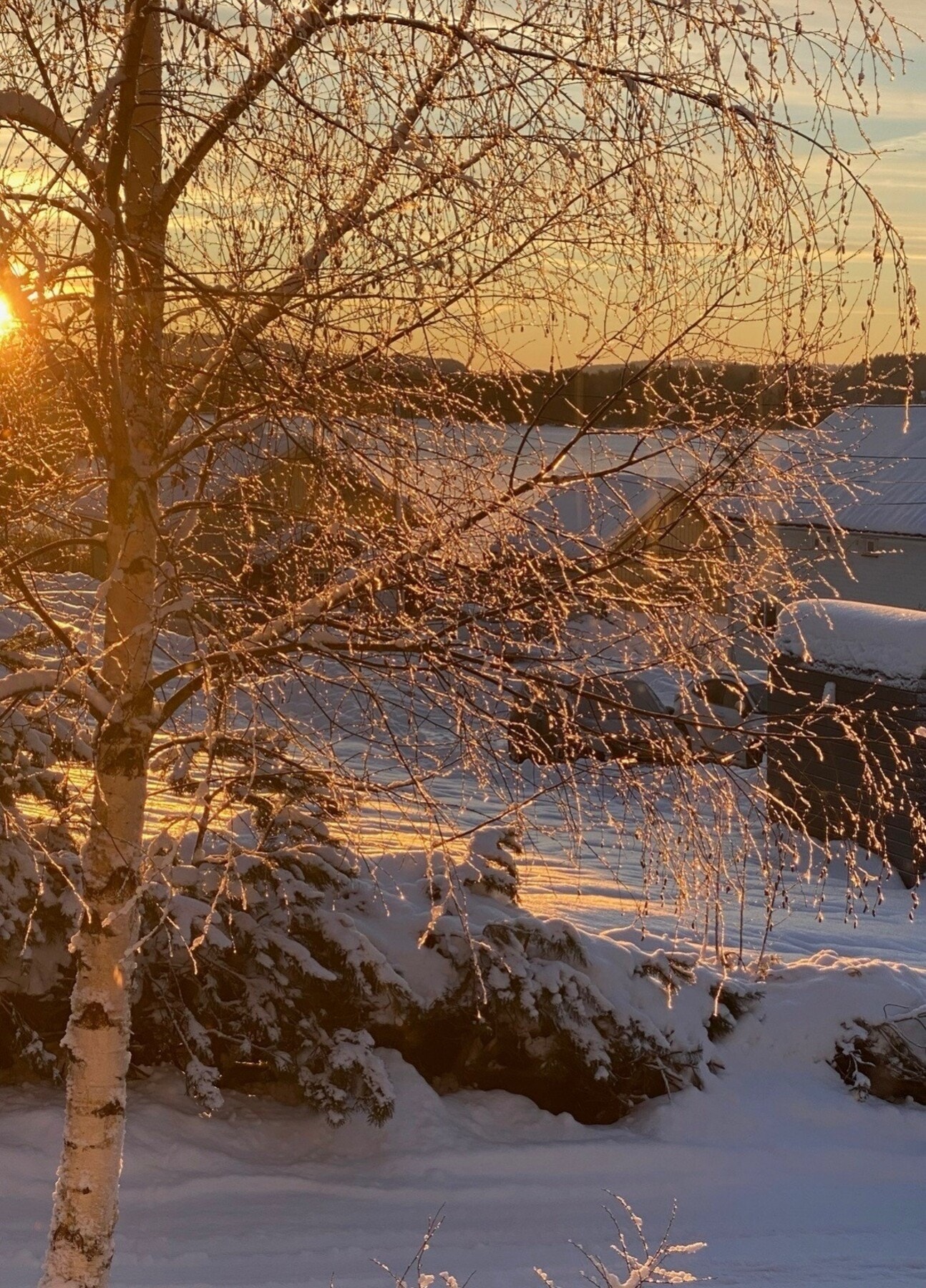 Privat foto vinterstid Galleribilde