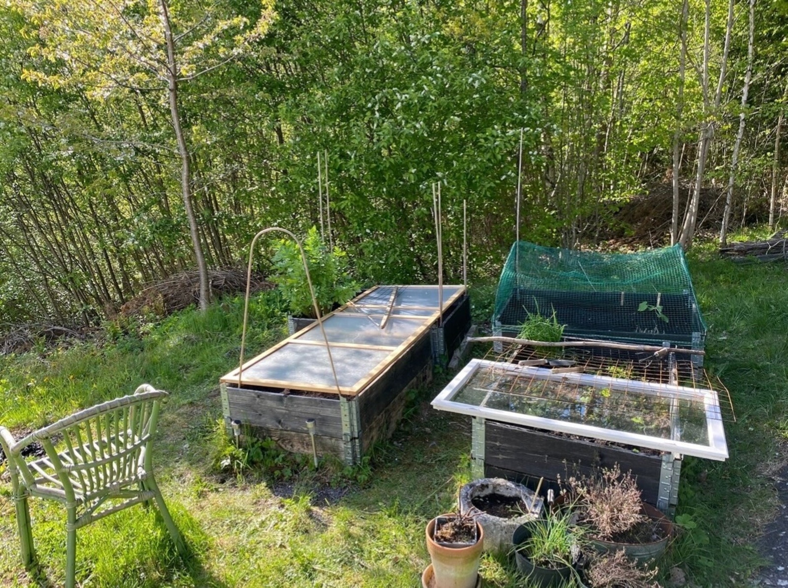 Privat foto sommerstid Galleribilde