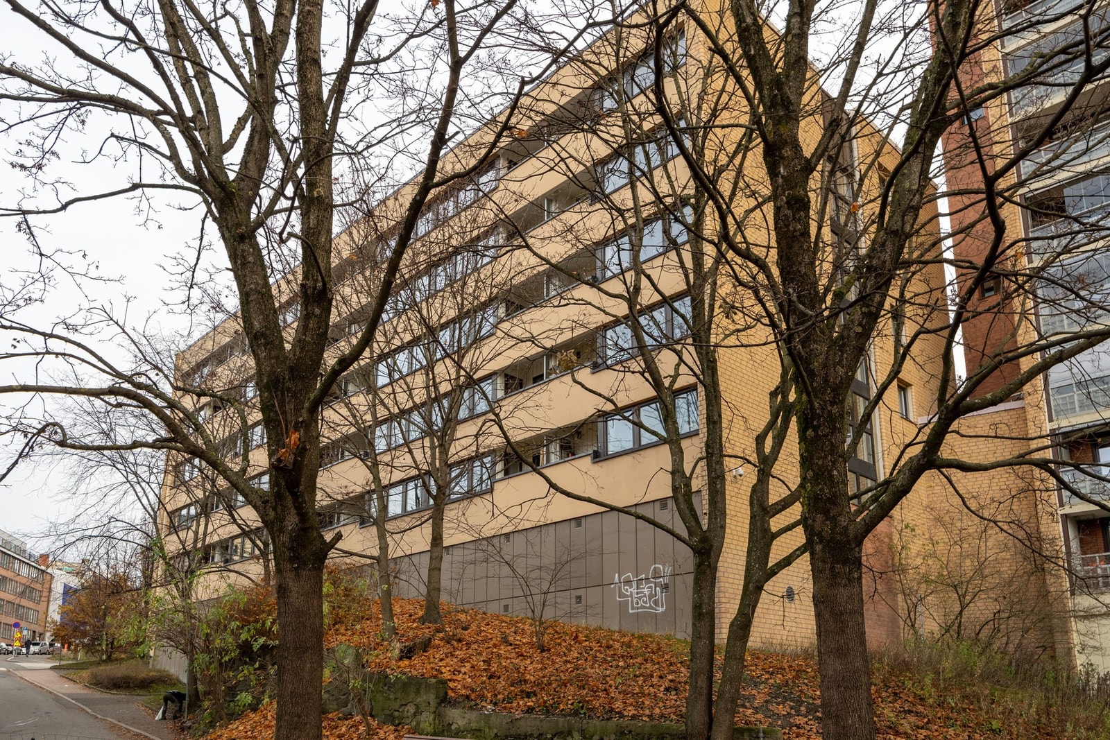 Husk visningspåmelding! Galleribilde