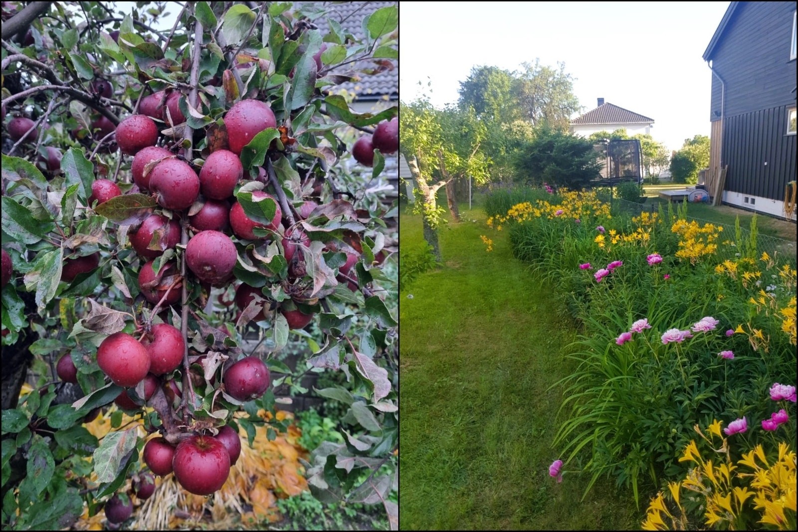 Fantastiske uteområder med beplantning på sommerstid (selgers bilder) Galleribilde
