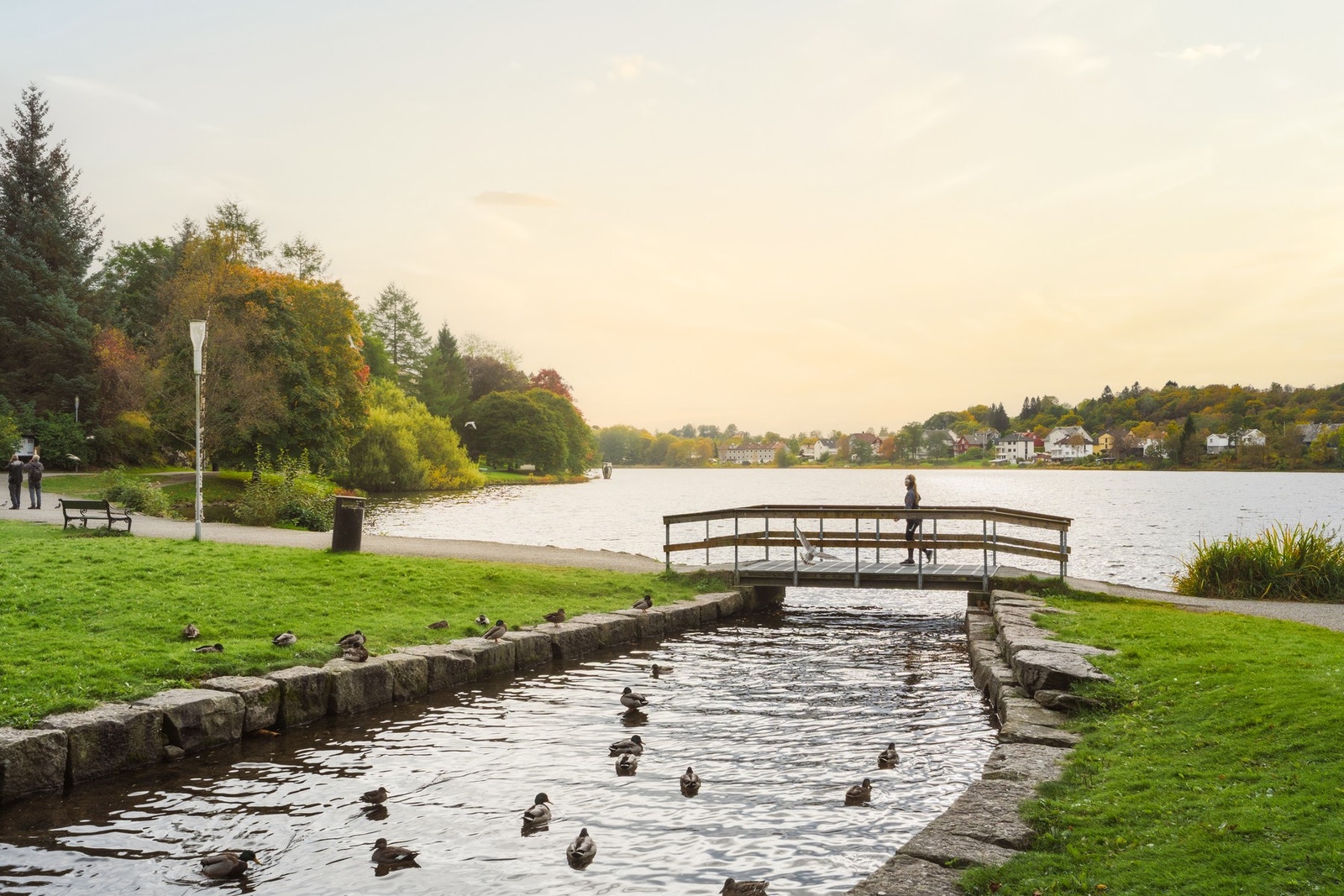 Tveitevannet er en perfekt destinasjon for turer, samt at det også er aktivitetspark og hundepark like ved. Galleribilde