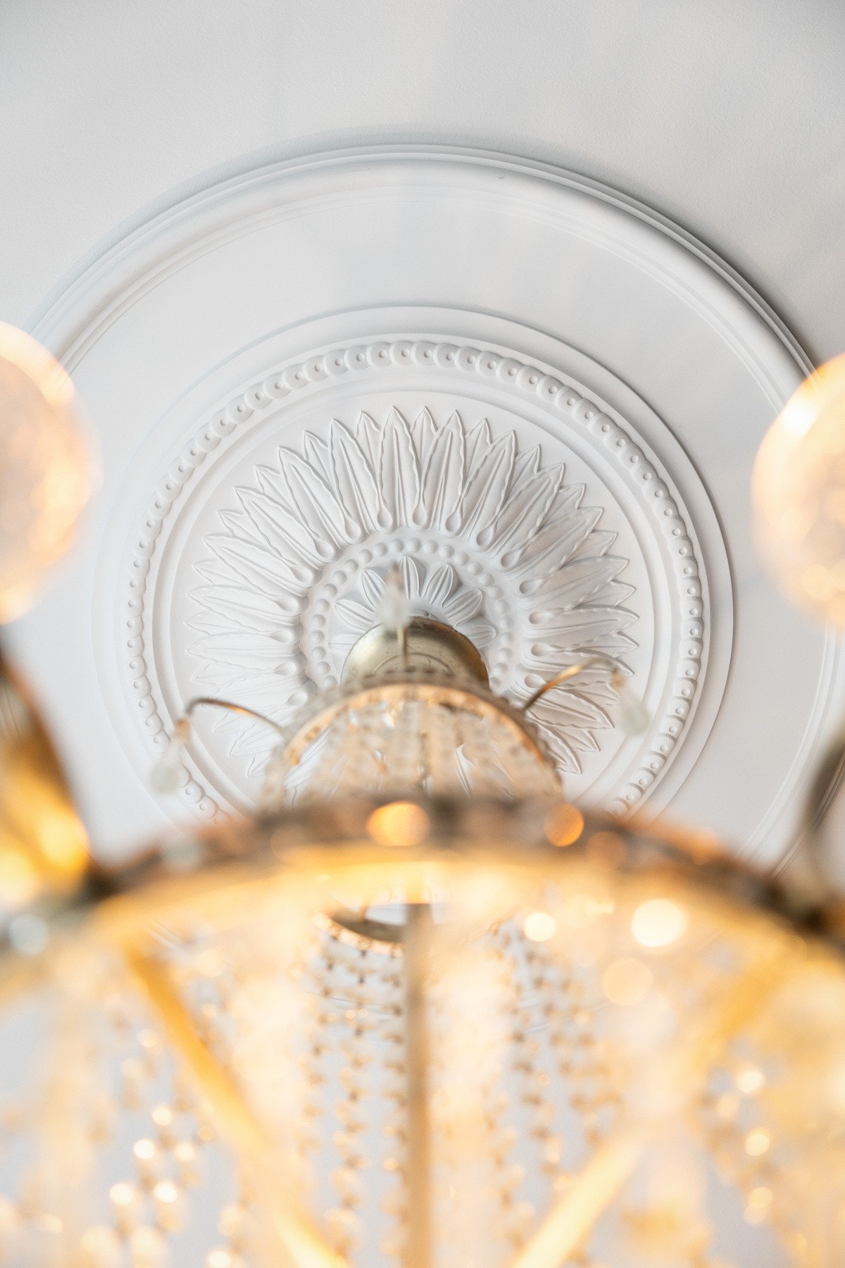 Rosett og stukkatur i himling. Galleribilde