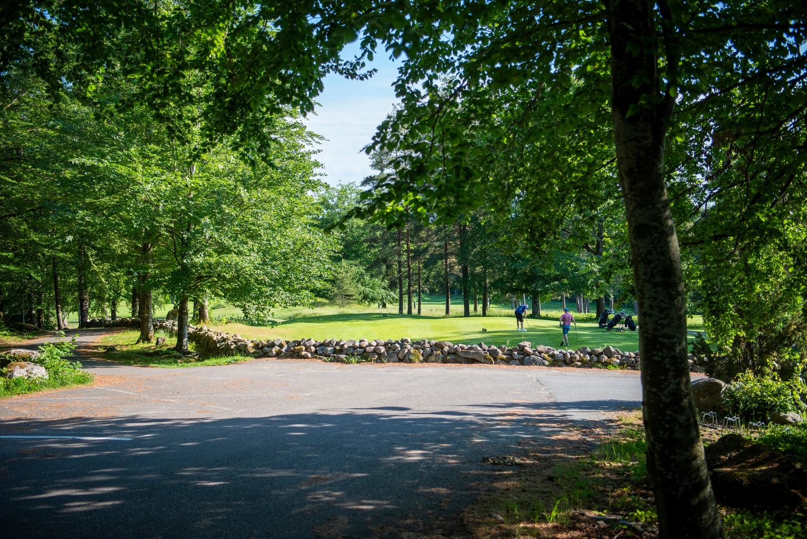 Vestfold golfbane med både 18-hulls bane og 9-hulls bane er nærmeste nabo Galleribilde