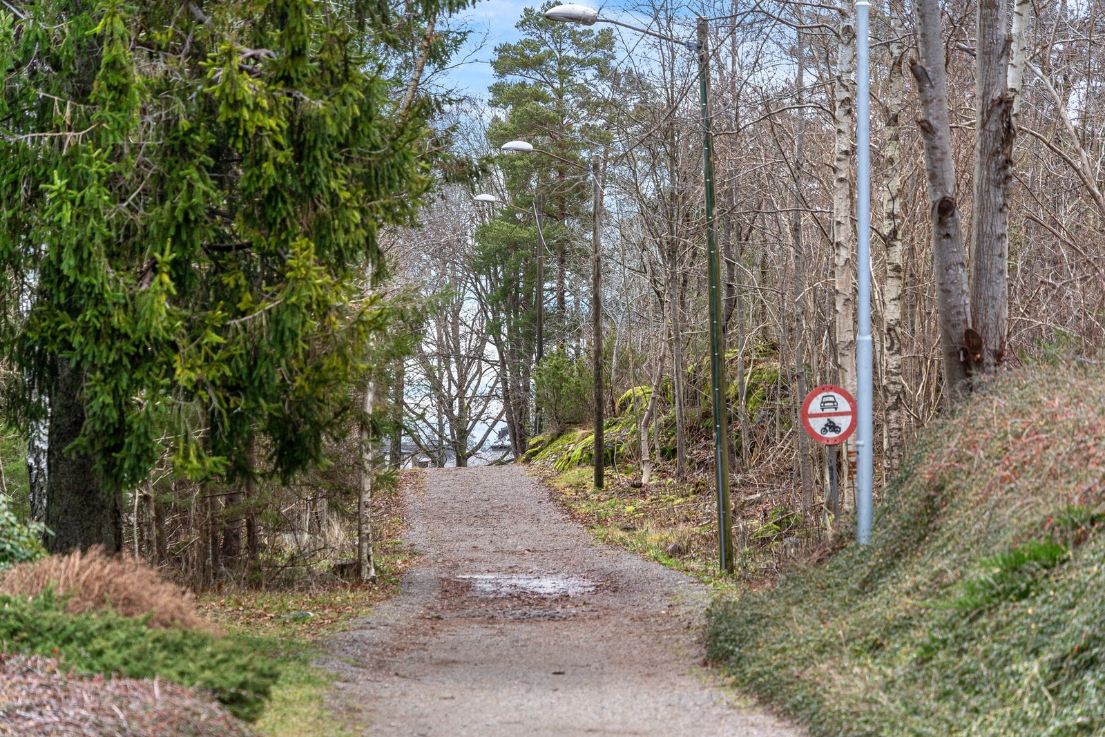 Områdebilde av gangvei gjennom Hårkollen Galleribilde