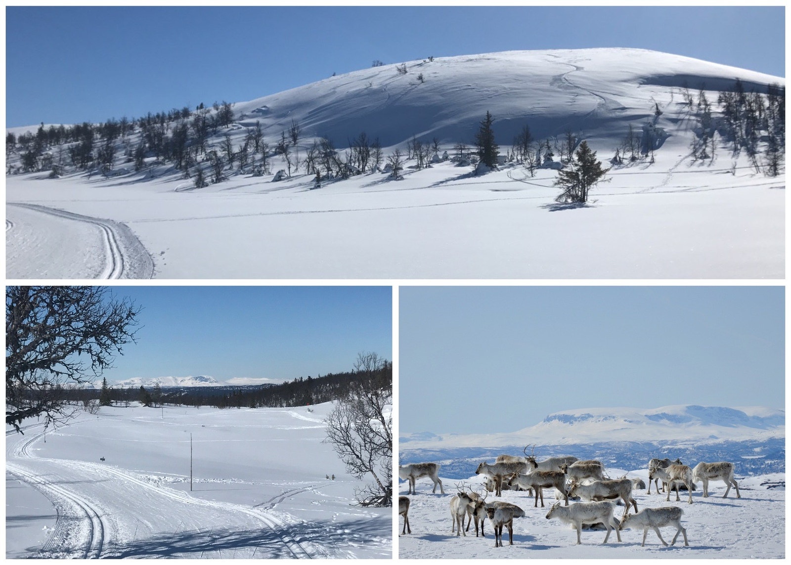 For korte turer kan man velge de godt vedlikeholdte løypene ved golfbanen, eller man kan følge de opp mot Nystølkroken, Åkrefjell og Trommenatten for lengre turer. Galleribilde