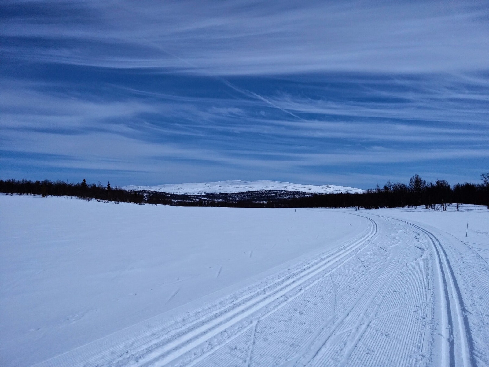 Milevis med skiløyper og variert turterreng. Galleribilde
