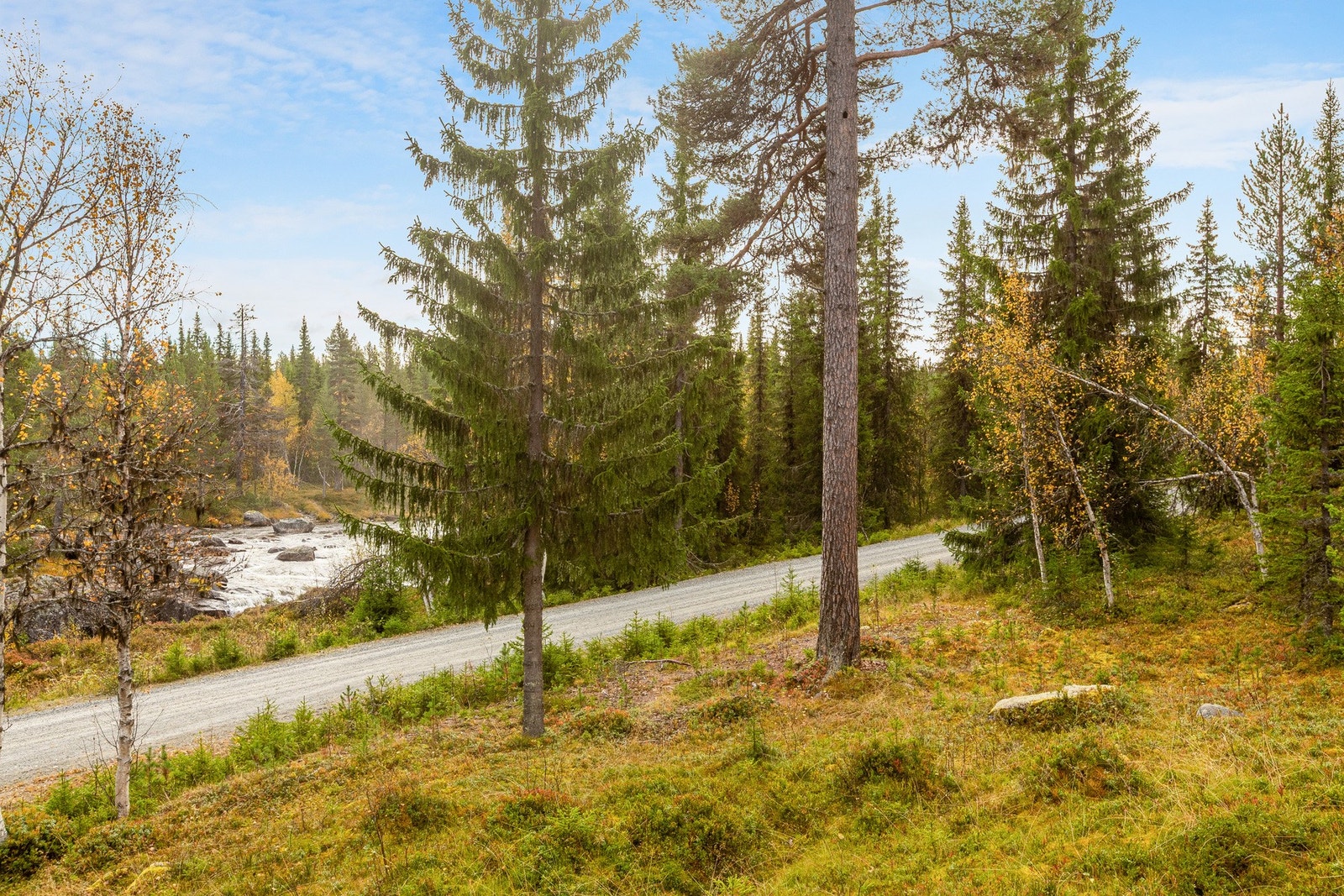Hølera elv like ved eiendommen. Galleribilde