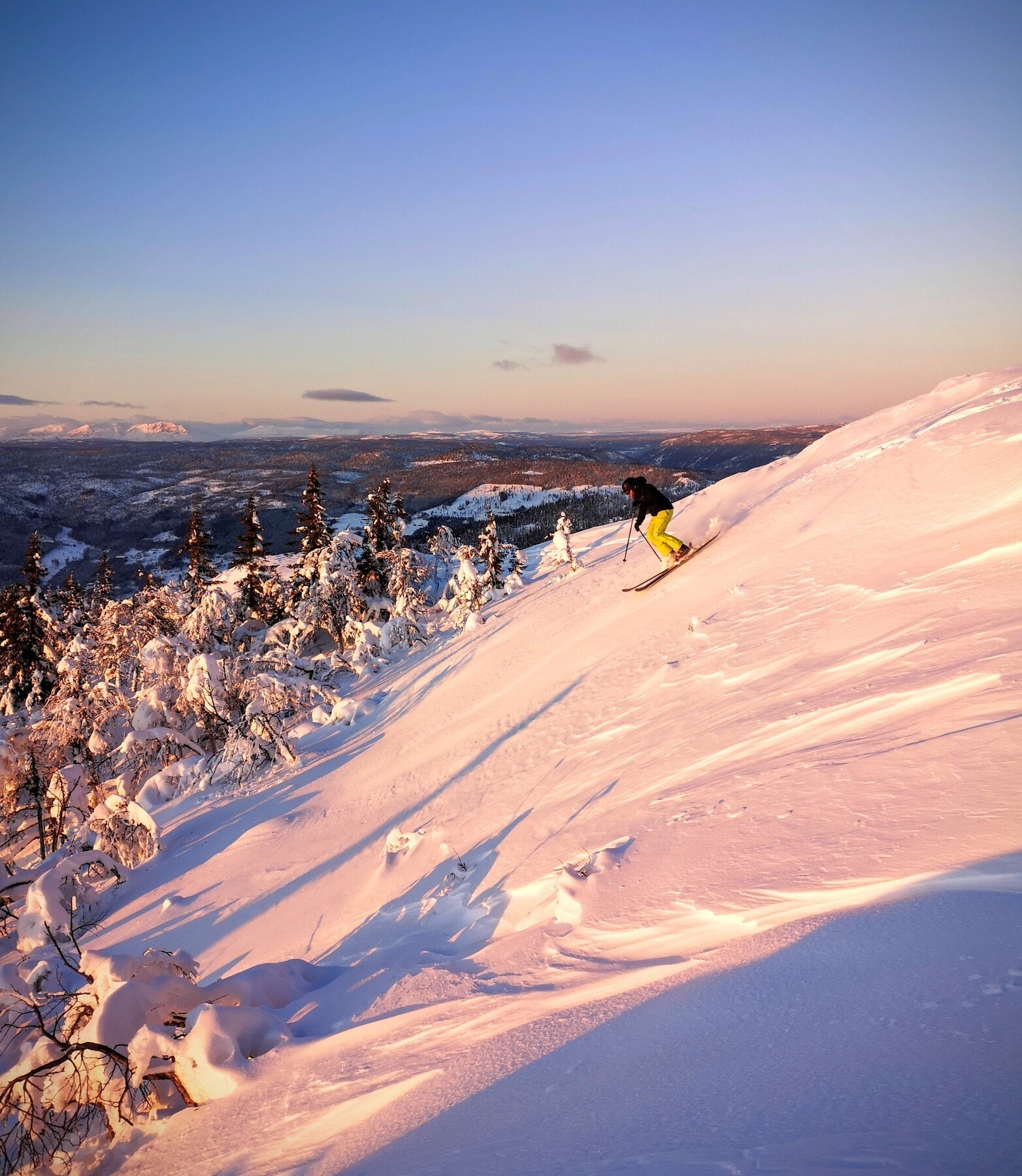Nesfjellet Alpin Galleribilde