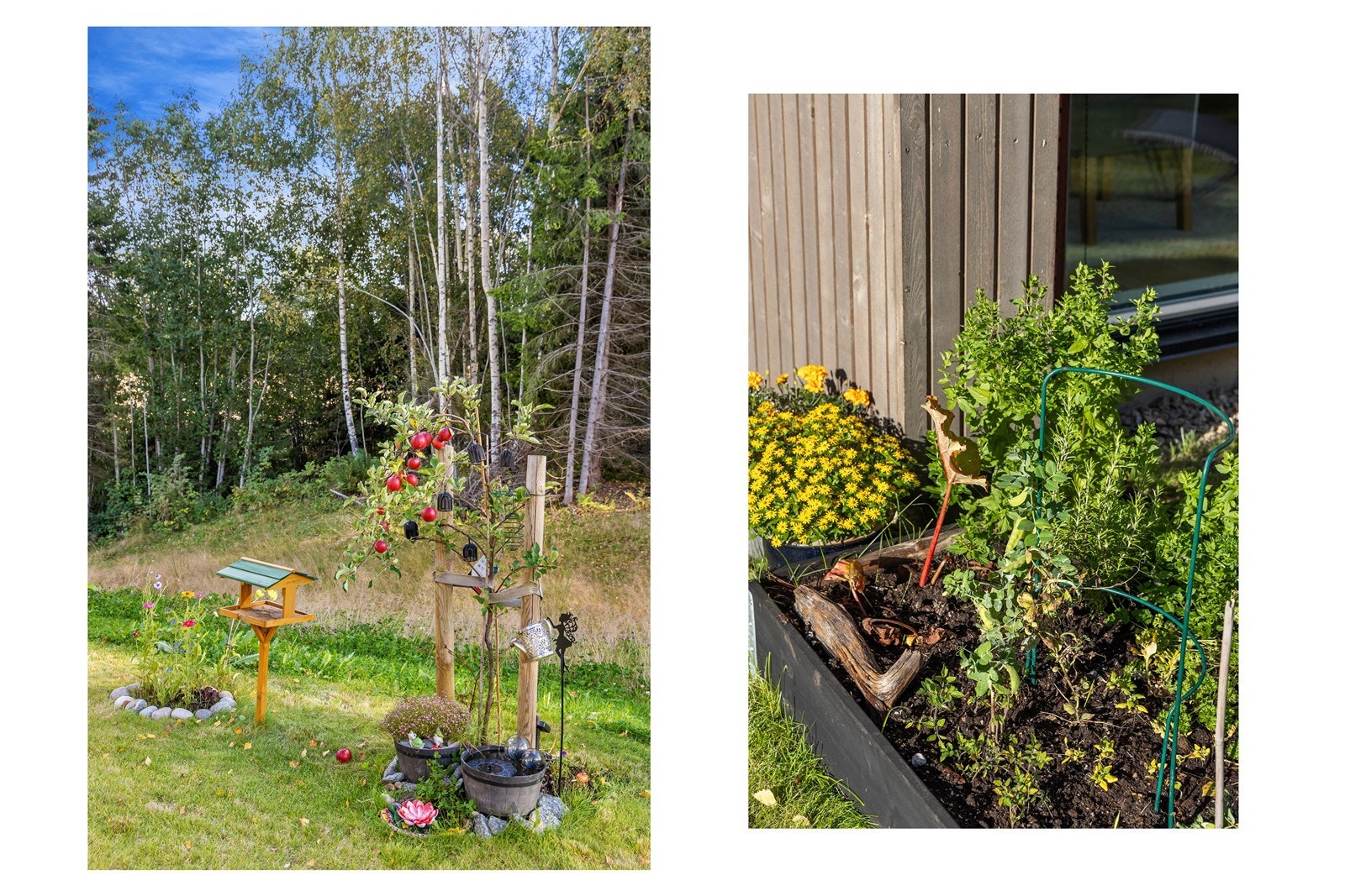 Pent opparbeidet hage med beplantning. Galleribilde