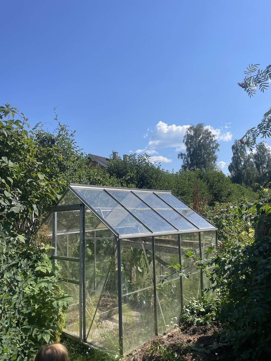I hagen finner du et drivhus Galleribilde
