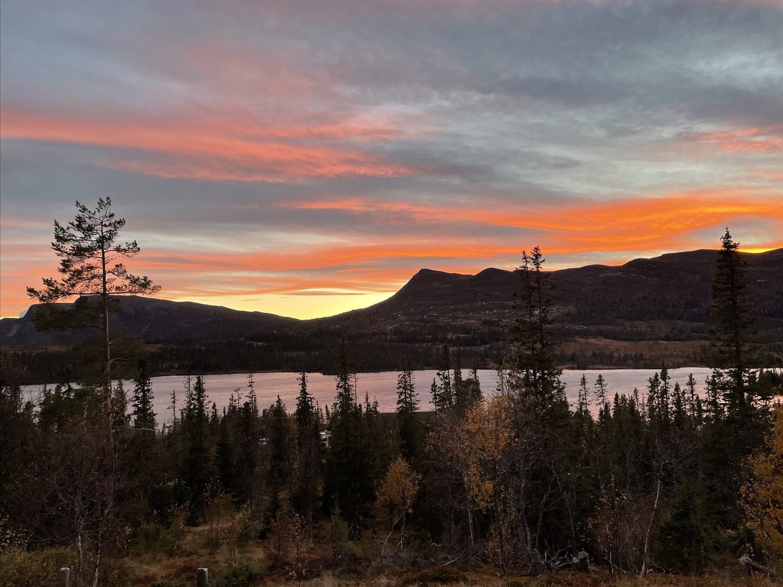Kveldsstemning ved Helgesetvatnet, selgers egne bilder. Galleribilde