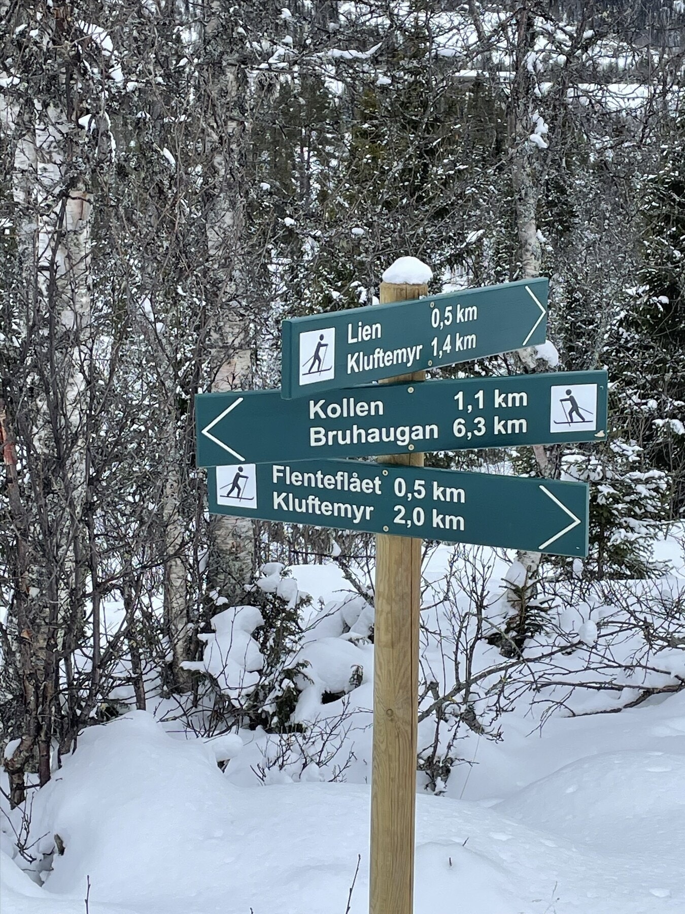 Her kan man velge og vrake etter vær og dagsform! Selgers egne bilder. Galleribilde