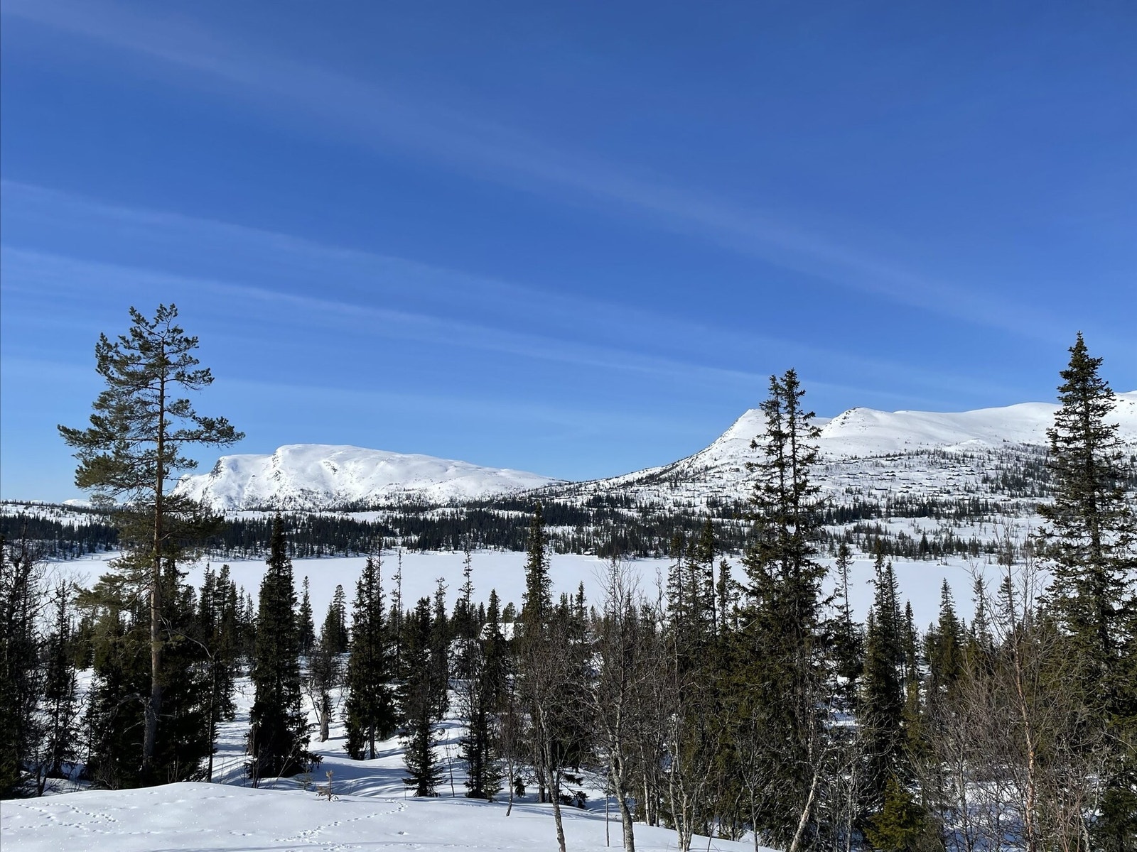 Vinterlandskap, selgers egne bilder. Galleribilde