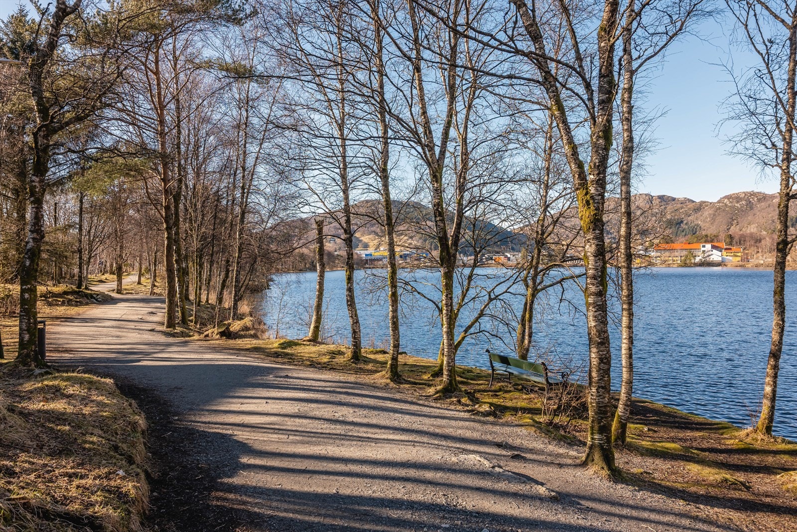 Utenfor ytterdøren finner du flere fine park- og turområder. Galleribilde
