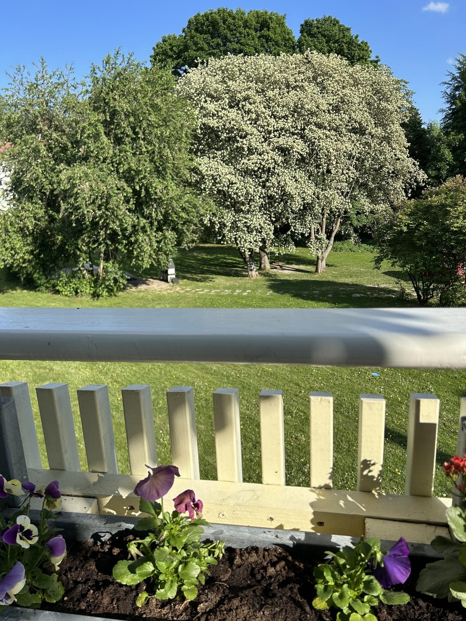 IMG_5548 Galleribilde