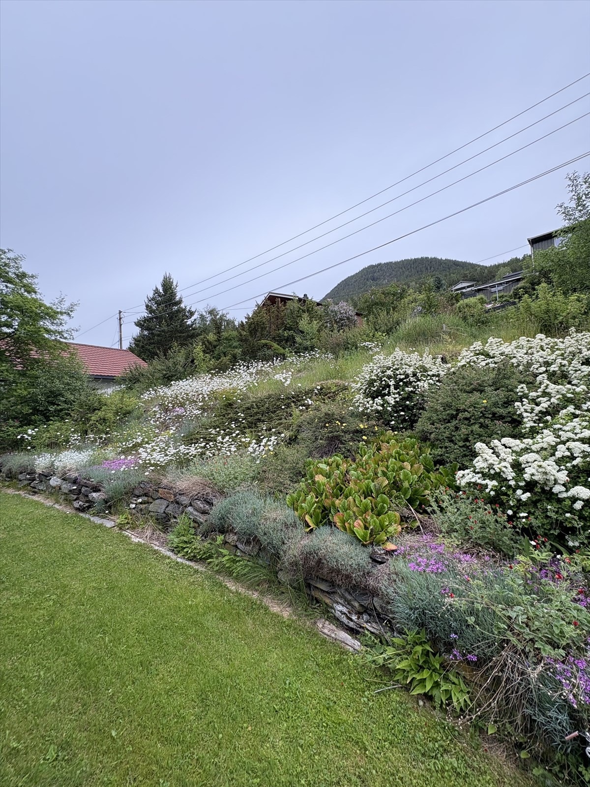 Det er også beplantning i bakkant av boligen, samt jordbærhage, frukttrær etc. - generelt en svært pent opparbeidet tomt. Galleribilde