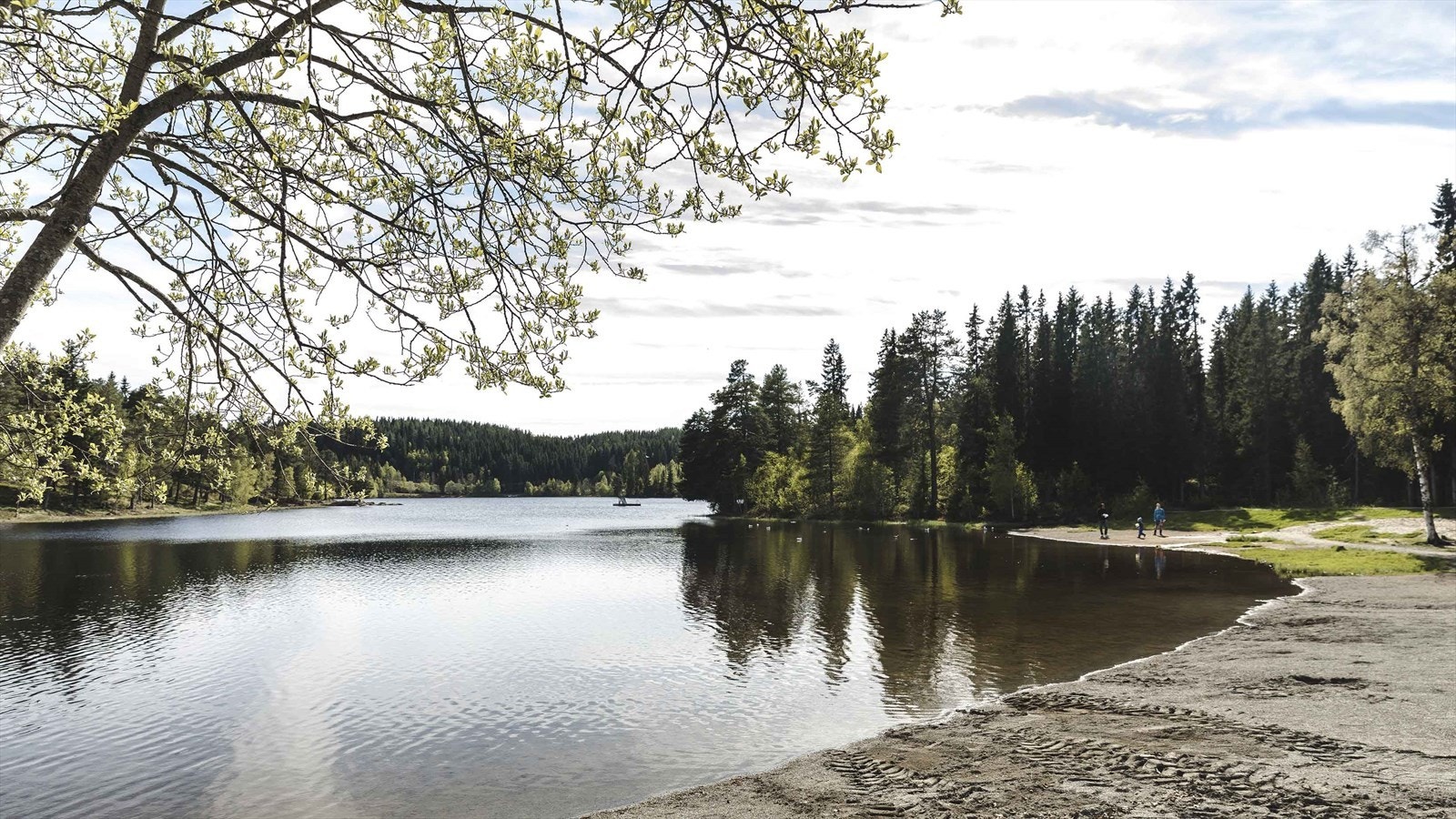 I tillegg til turmuligheter byr også Bymarka på mange flotte vann med badeplasser og fiskemuligheter. Galleribilde