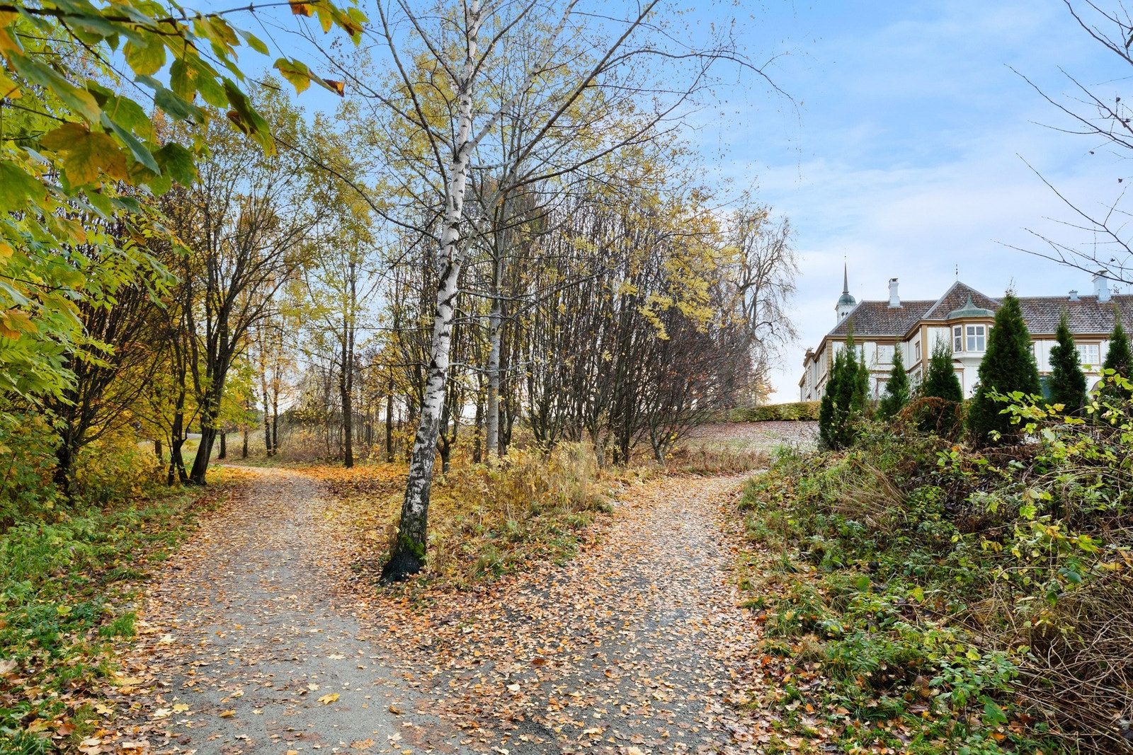 Nærområdet legger opp til aktive dager for både store og små. Kort vei til barnehager såvel som skole. Galleribilde
