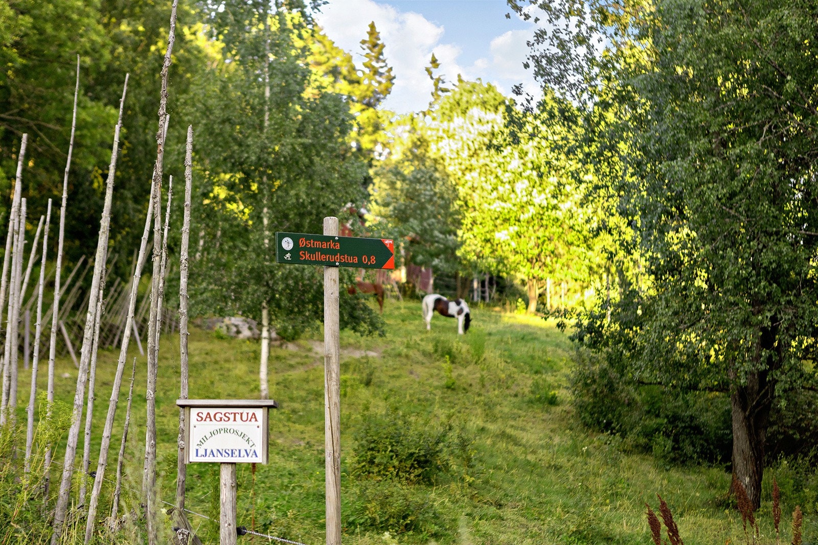 Området har supre turmuligheter Galleribilde